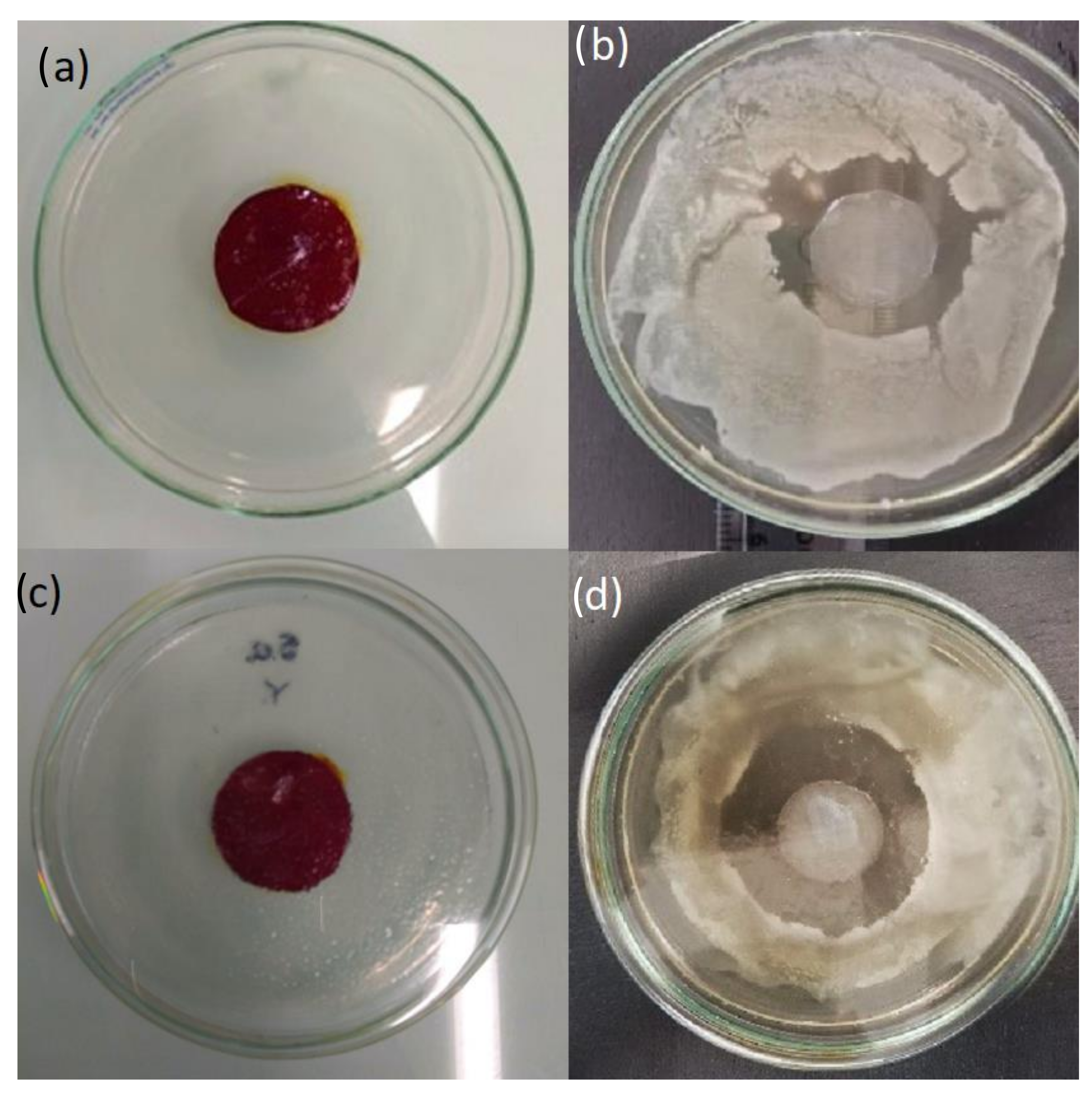 Pharmaceutics 14 01661 g008