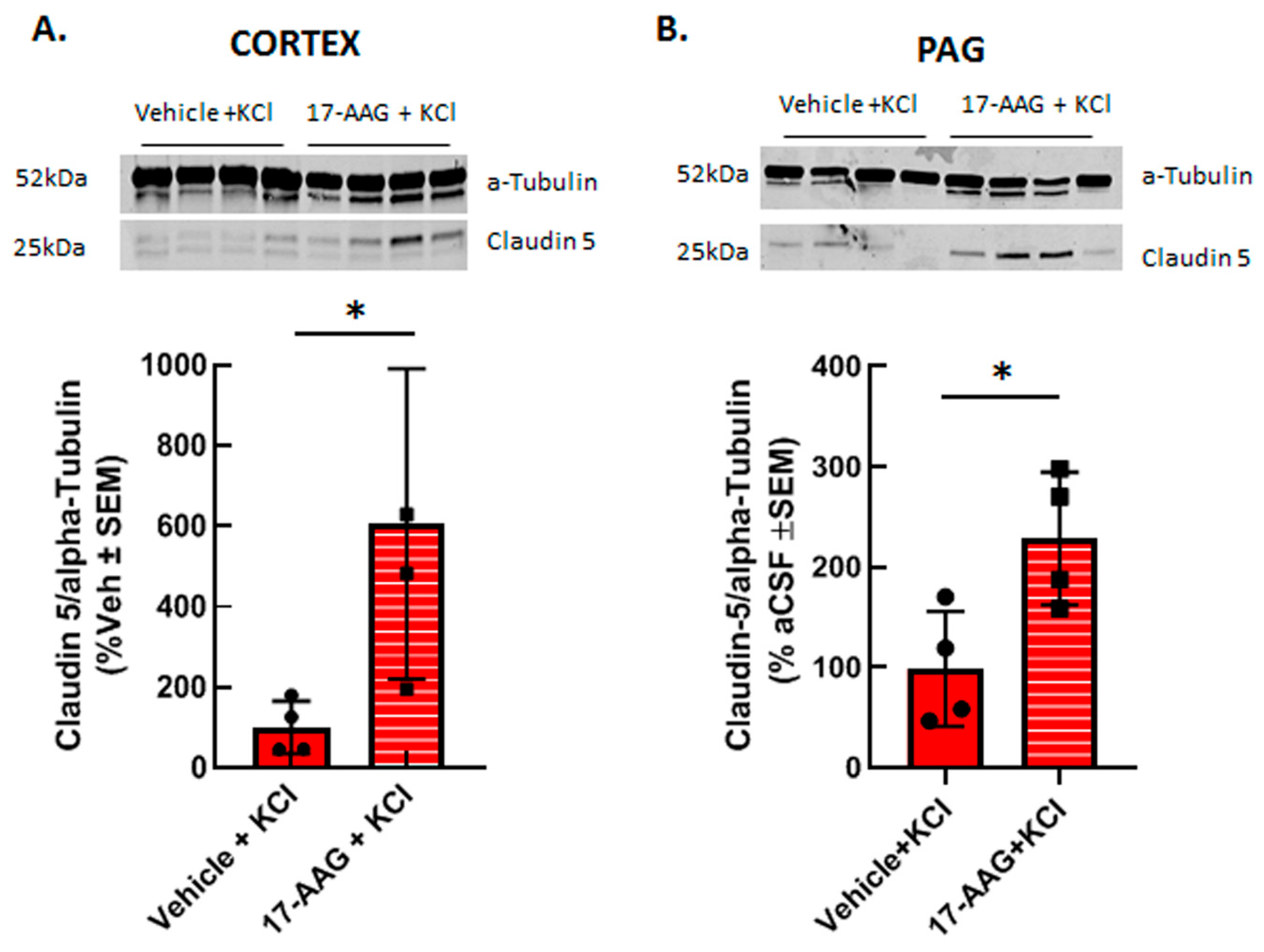 Pharmaceutics 14 01665 g005 Pharmaceutics 14 01665 g005