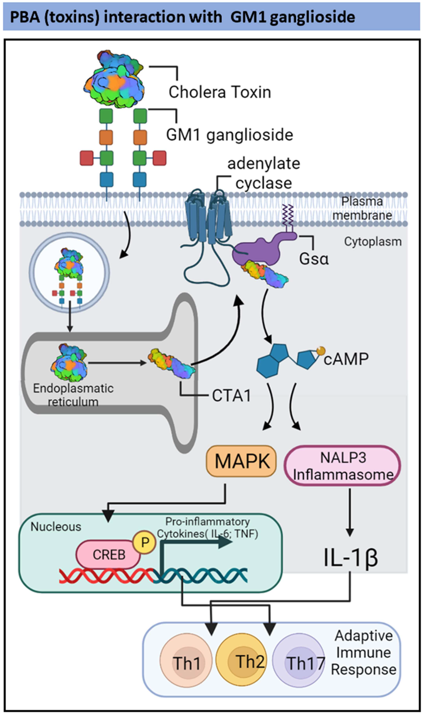 Pharmaceutics 14 01671 g002 Pharmaceutics 14 01671 g002