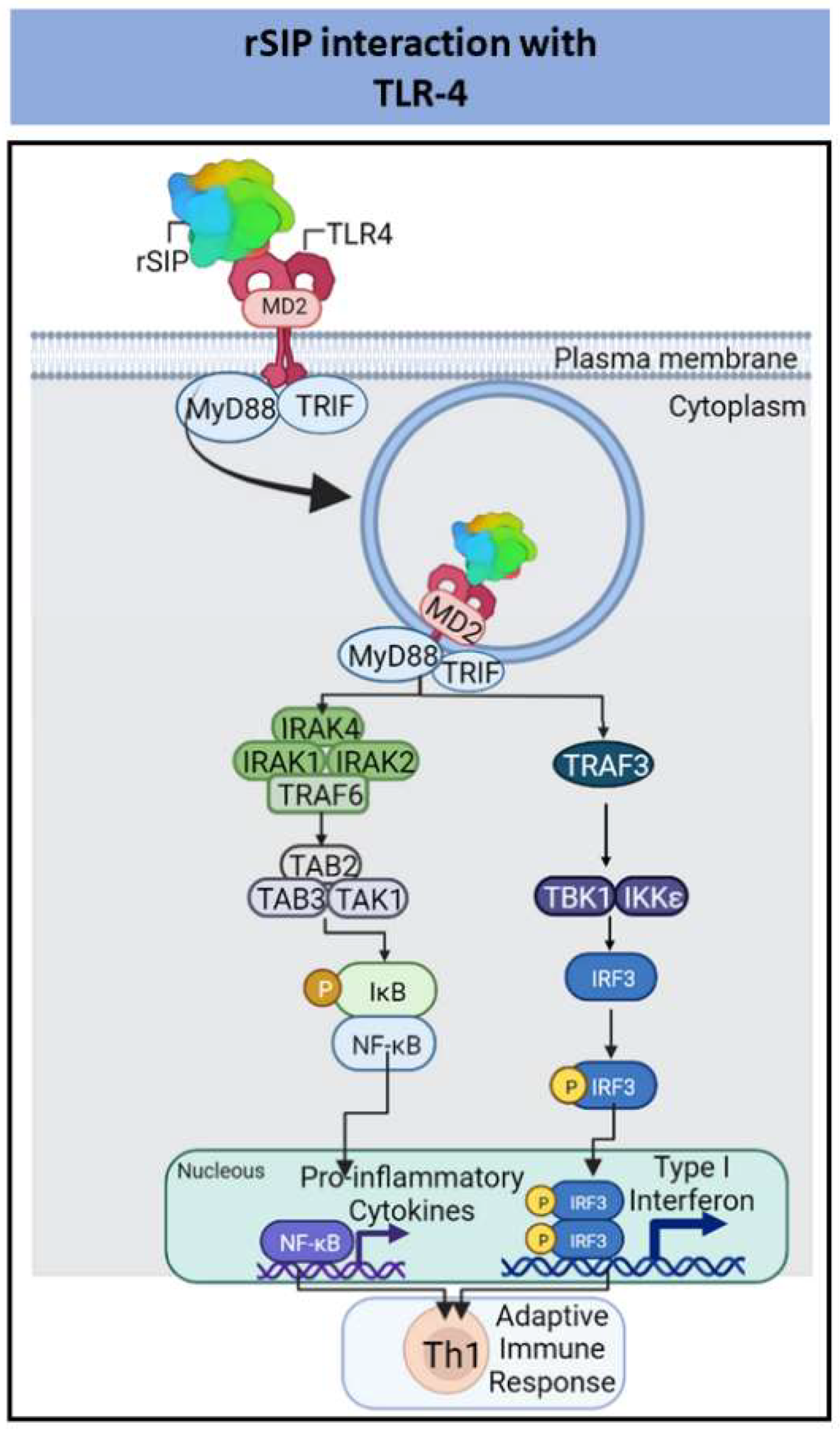 Pharmaceutics 14 01671 g003 Pharmaceutics 14 01671 g003