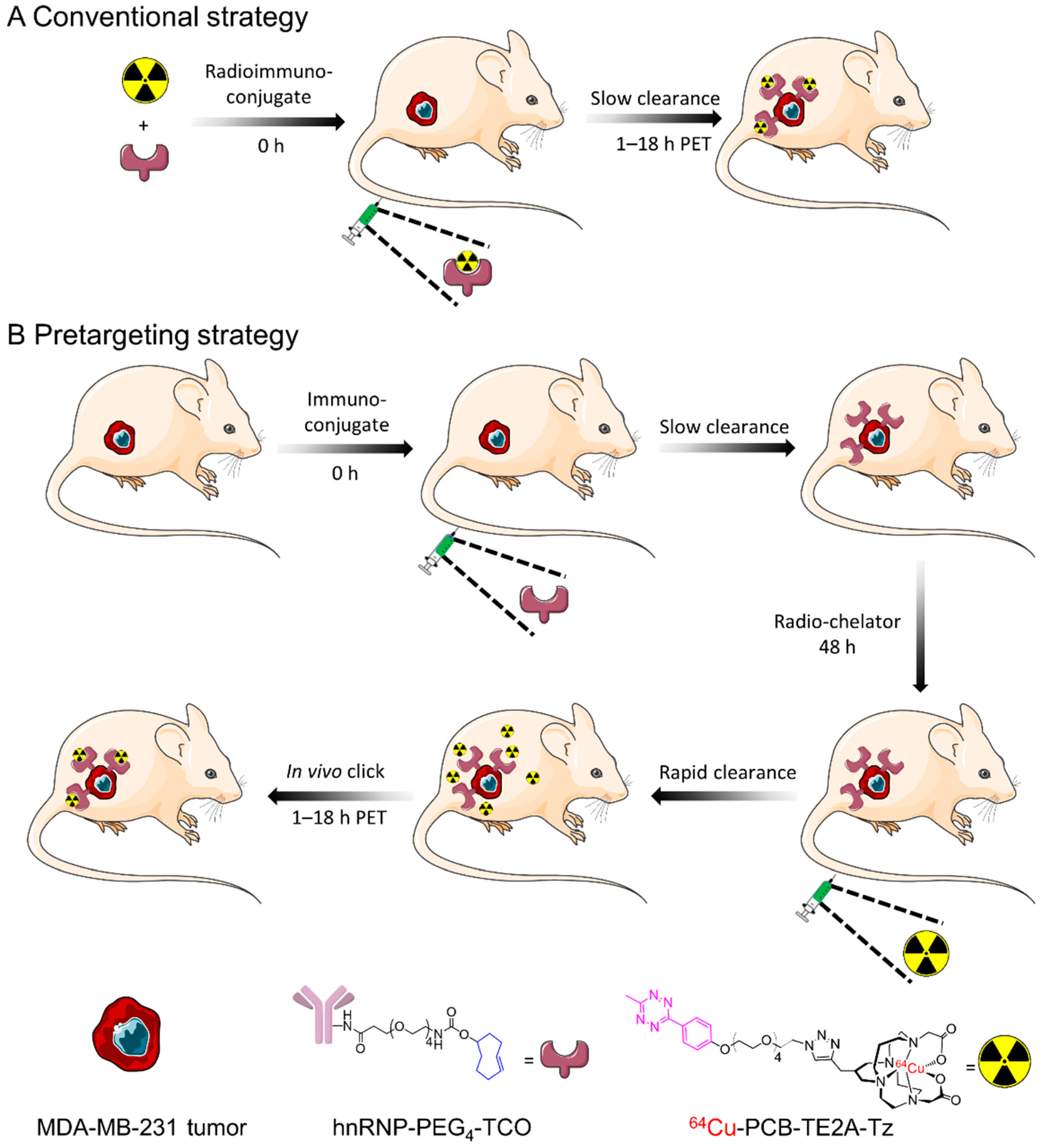 Pharmaceutics 14 01677 g001