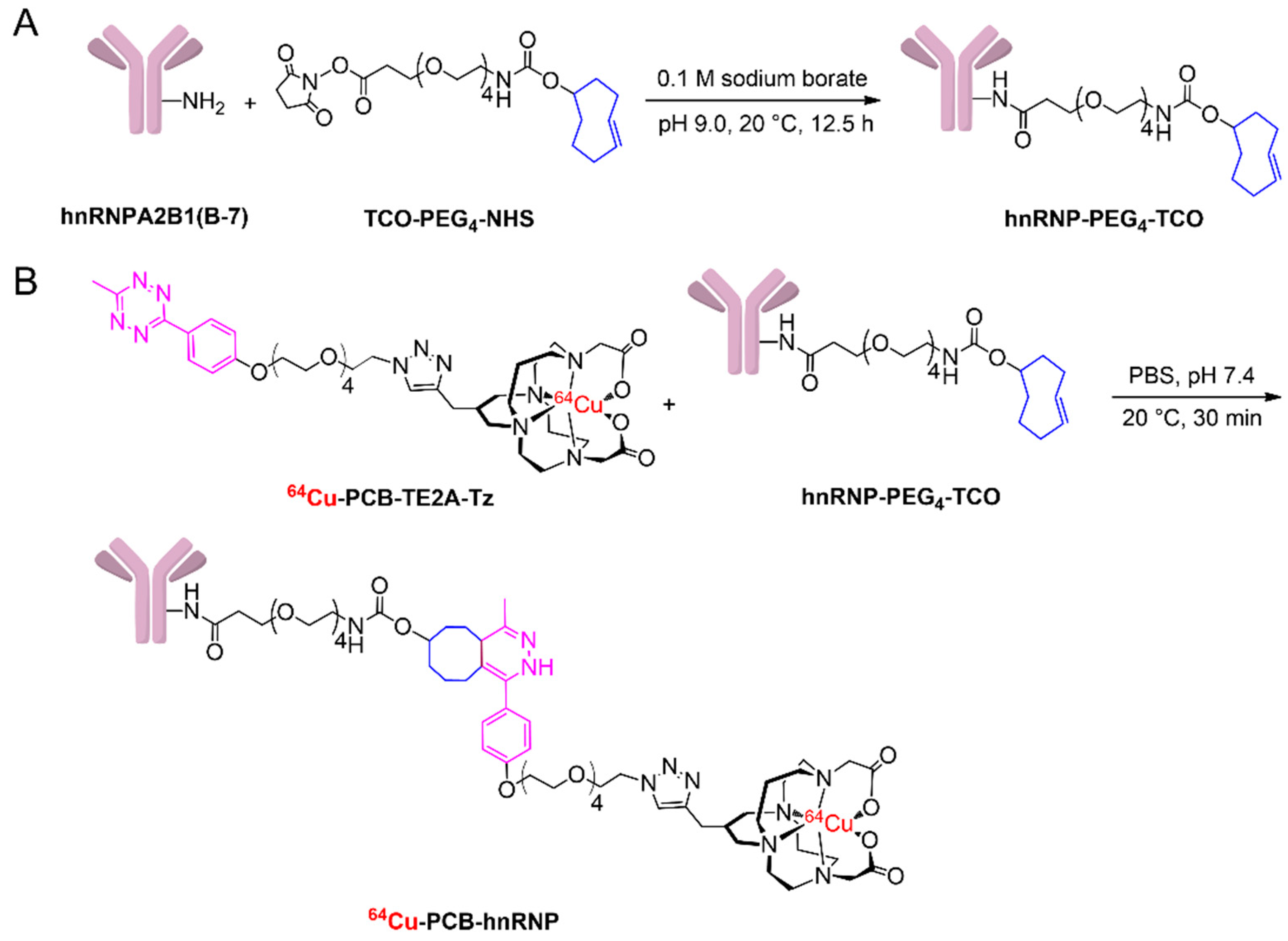 Pharmaceutics 14 01677 sch001
