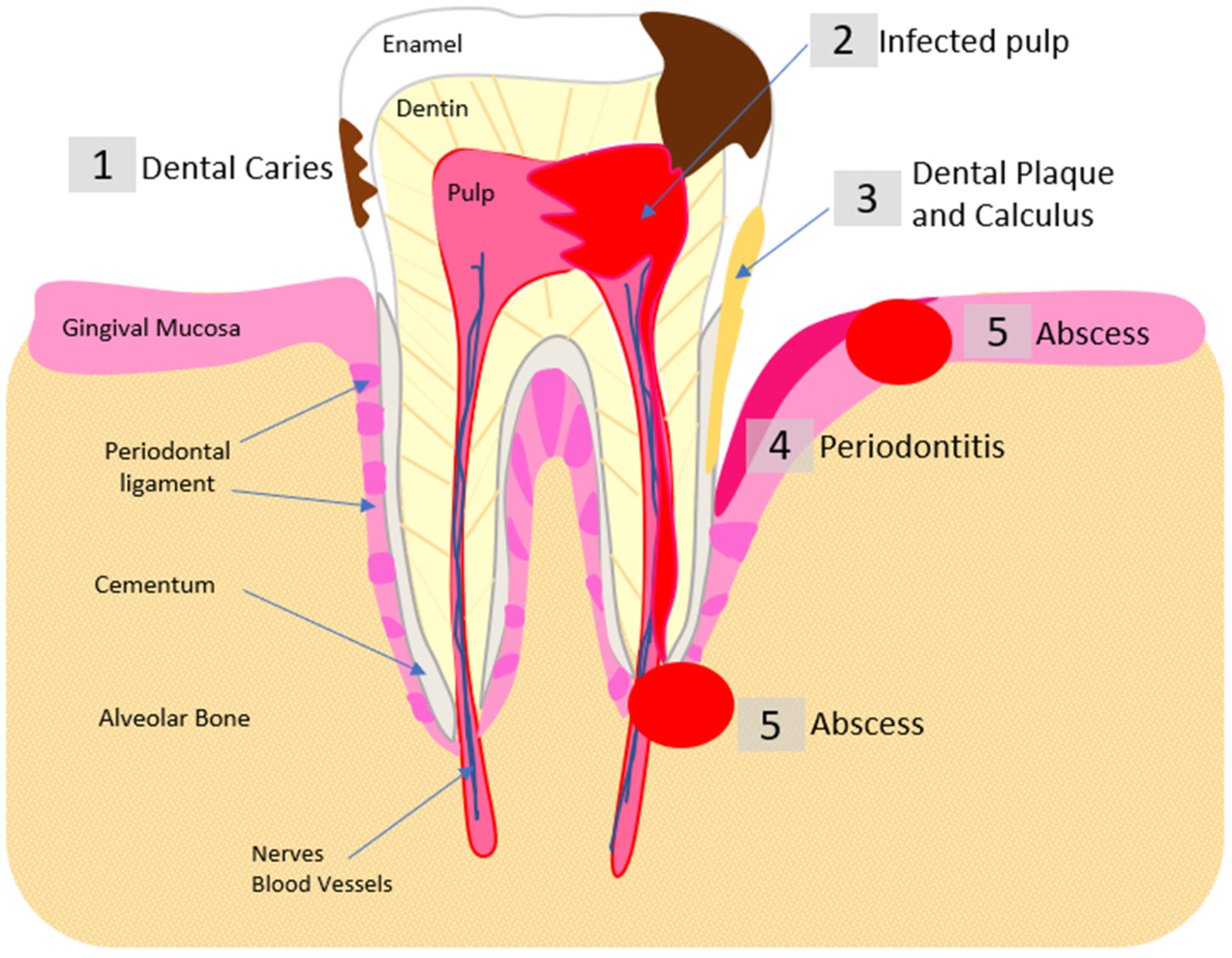 Pharmaceutics 14 01679 g002 Pharmaceutics 14 01679 g002