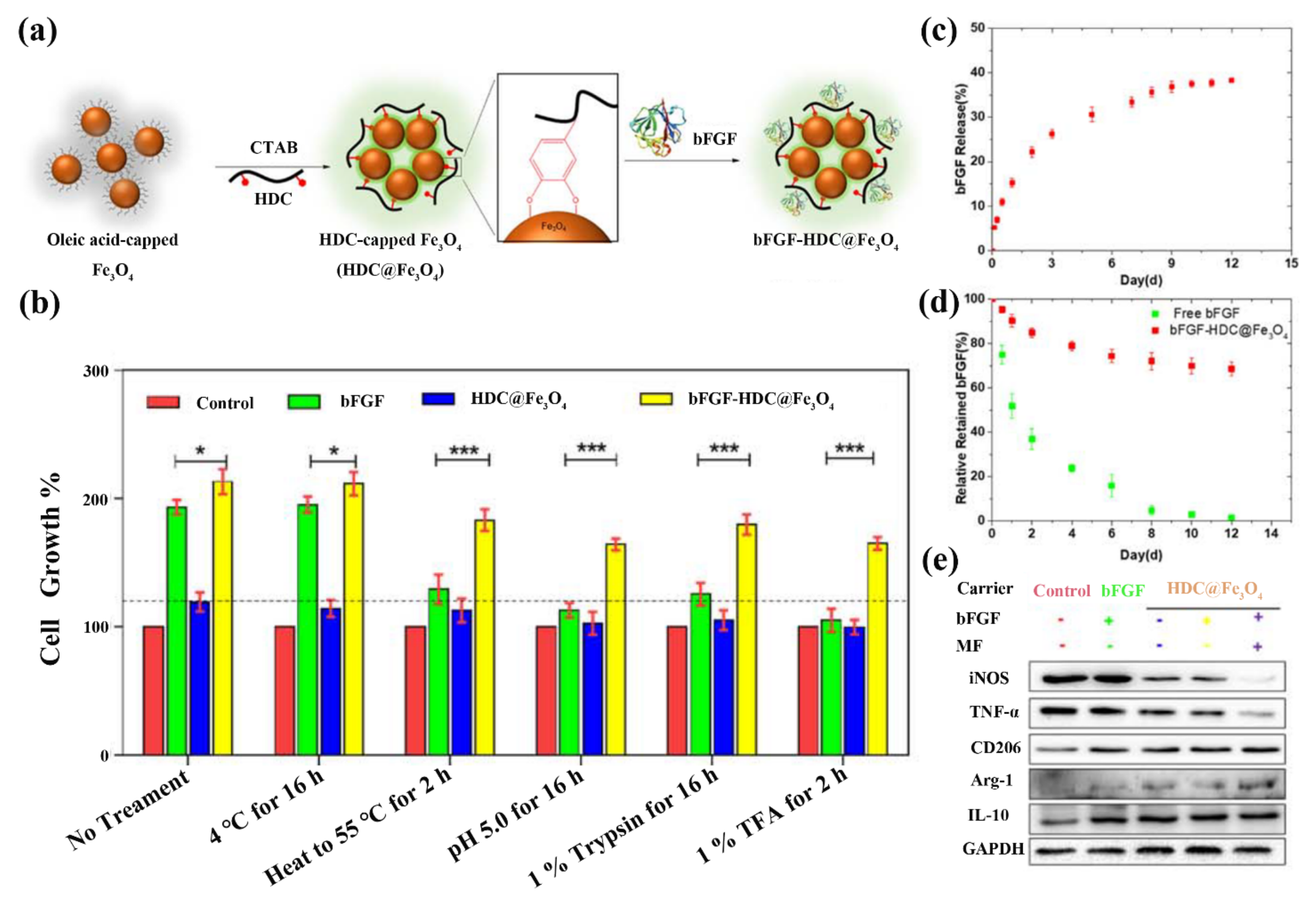 Pharmaceutics | Free Full-Text | Emerging Bioactive Agent Delivery