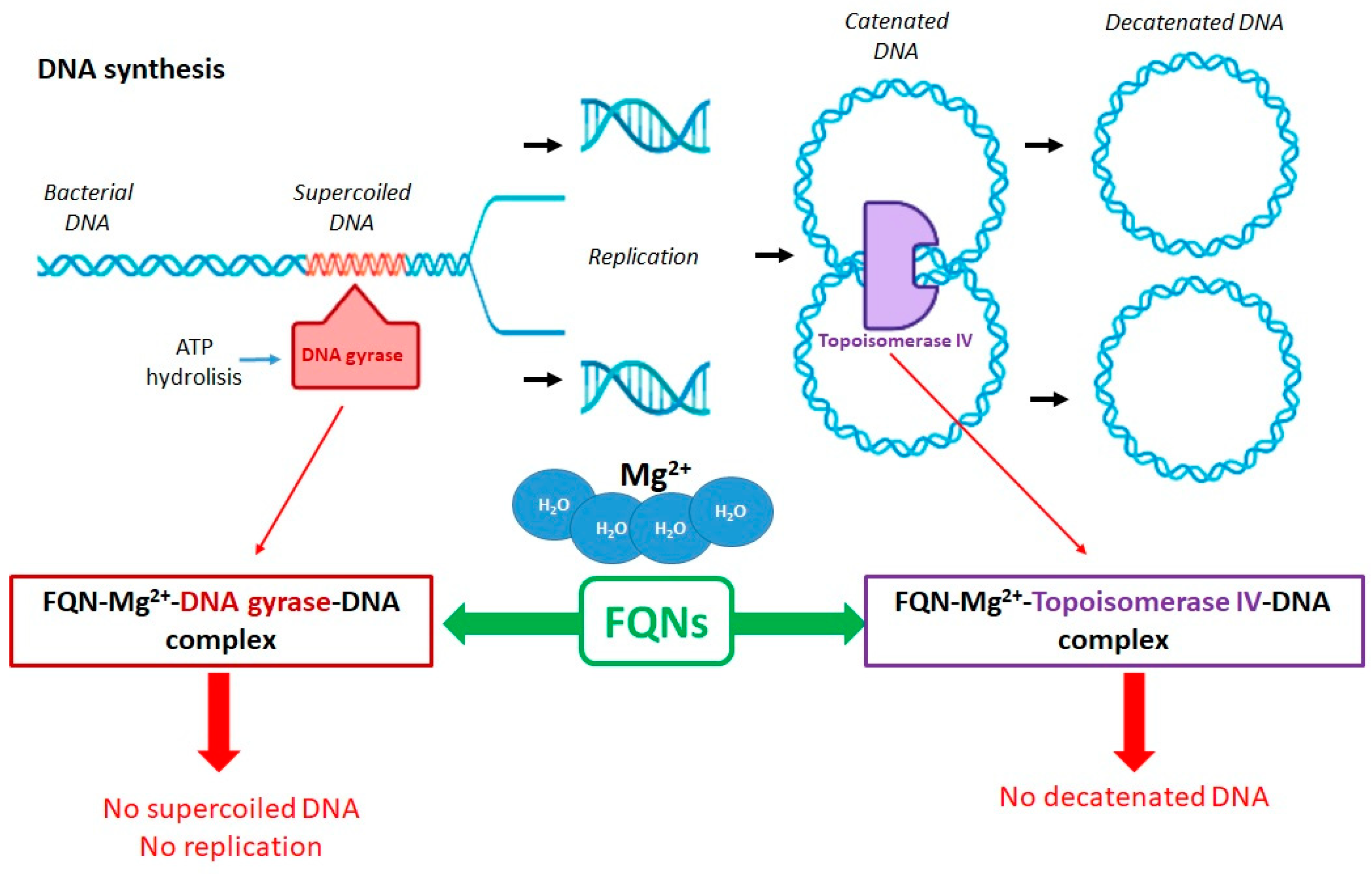 Recent developments in the synthesis of hybrid antimalarial drug discovery  - ScienceDirect