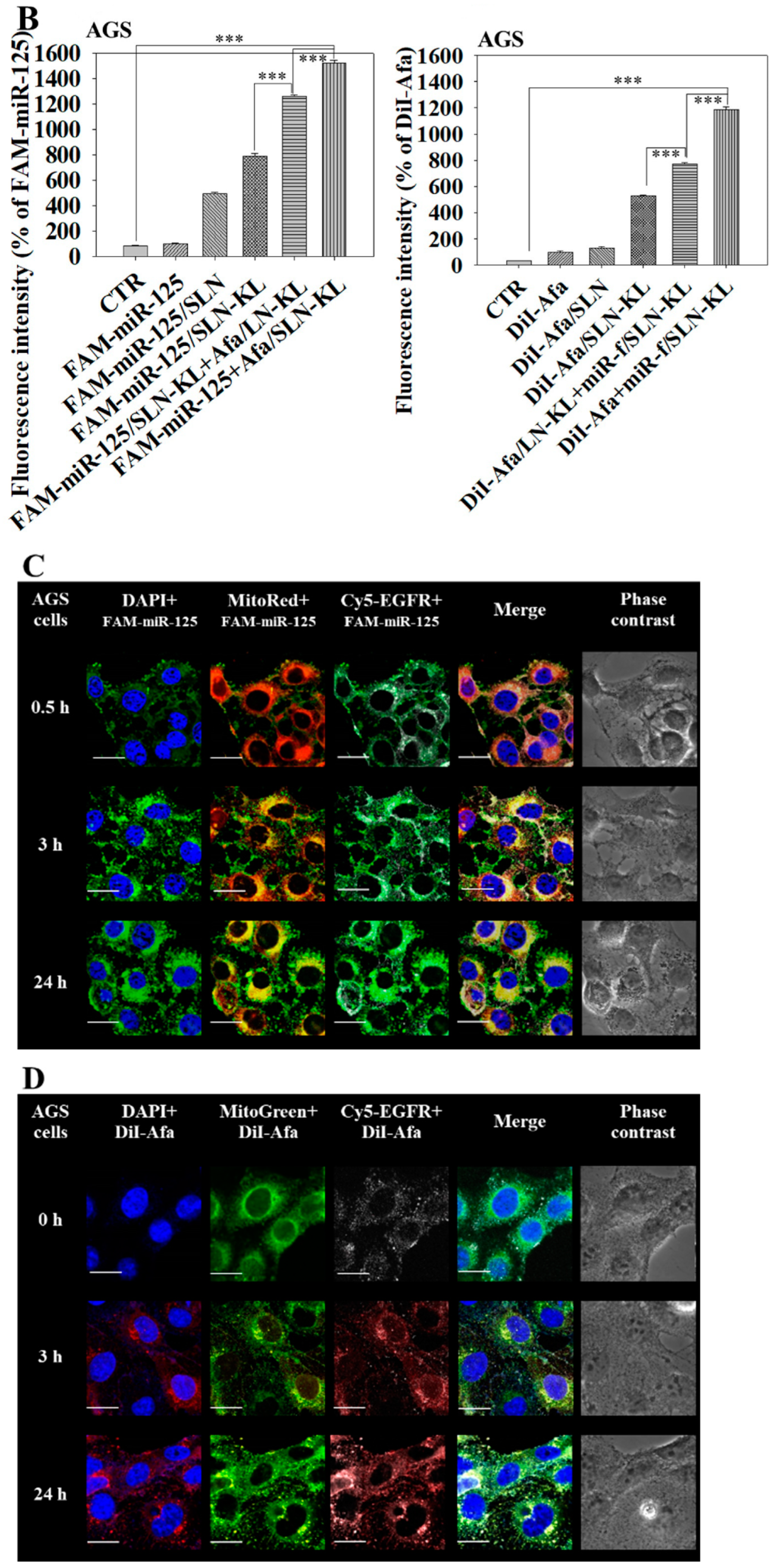 Pharmaceutics 14 01759 g002b