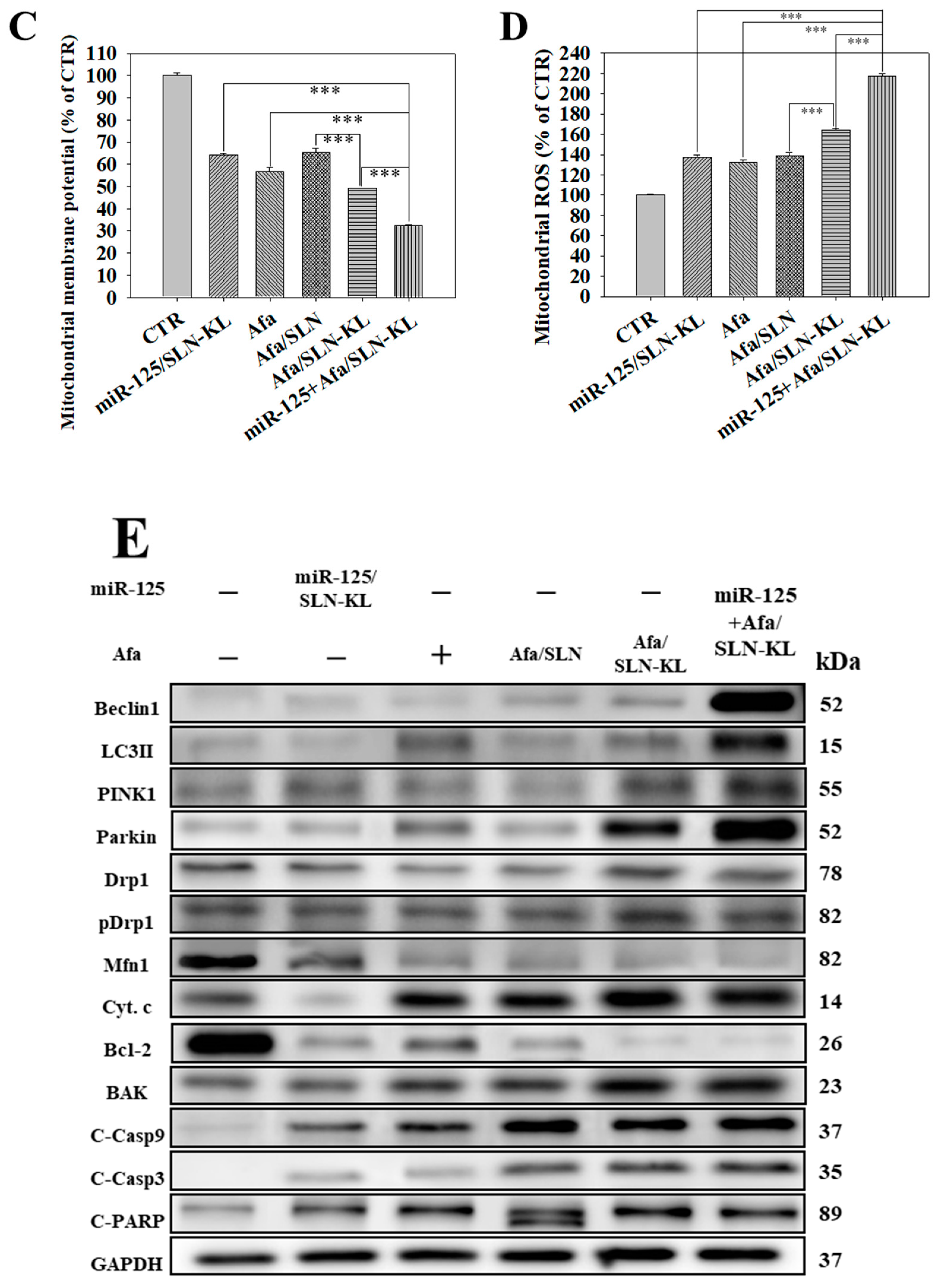 Pharmaceutics 14 01759 g006b