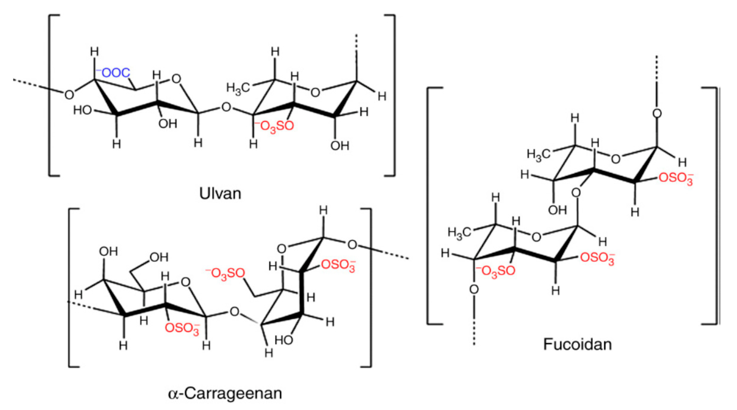 Pharmaceutics 14 01781 g005