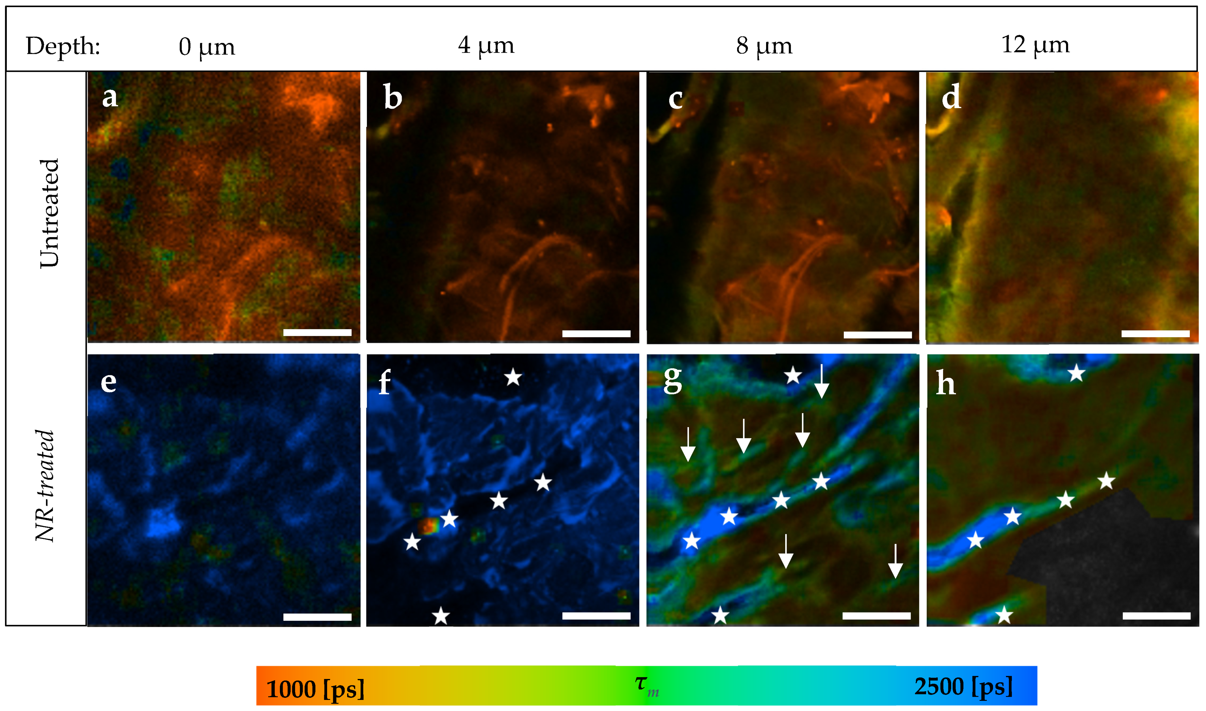 Pharmaceutics 14 01790 g007