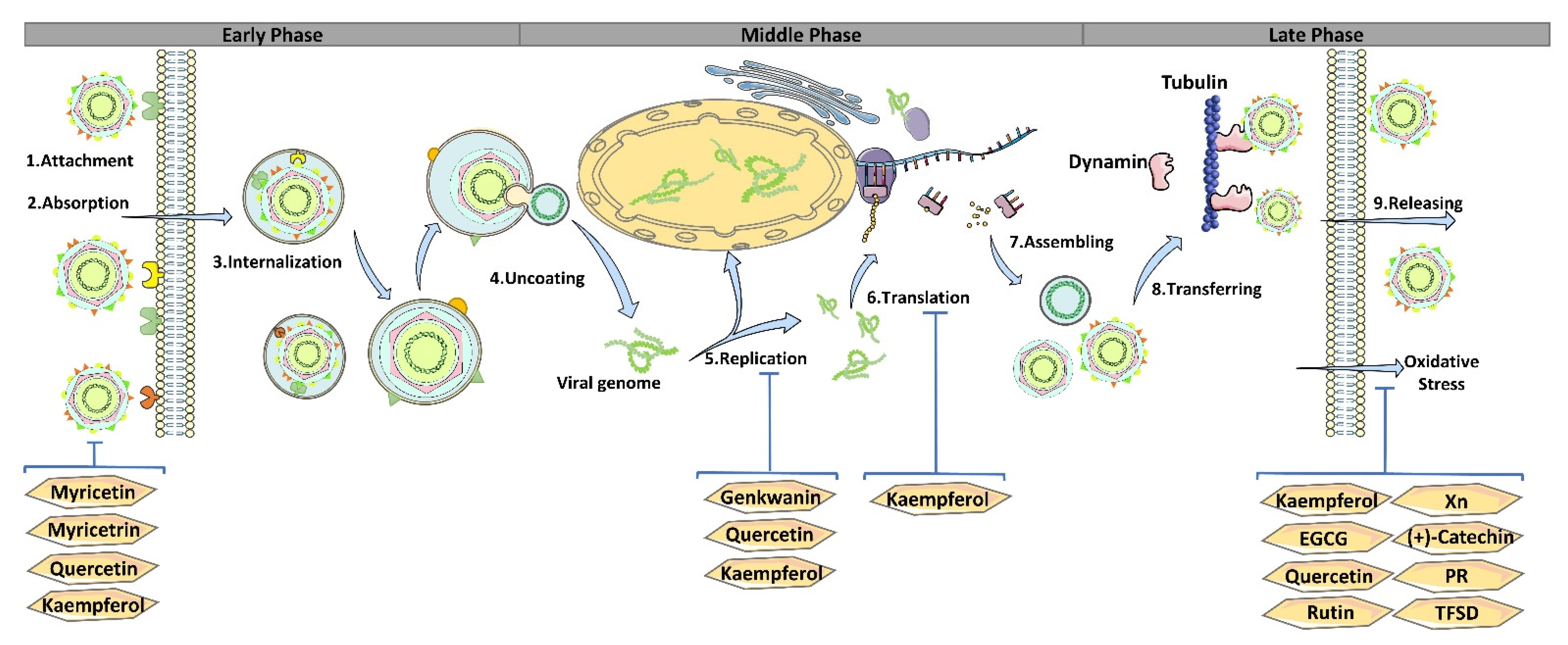 Pharmaceutics 14 01793 g002