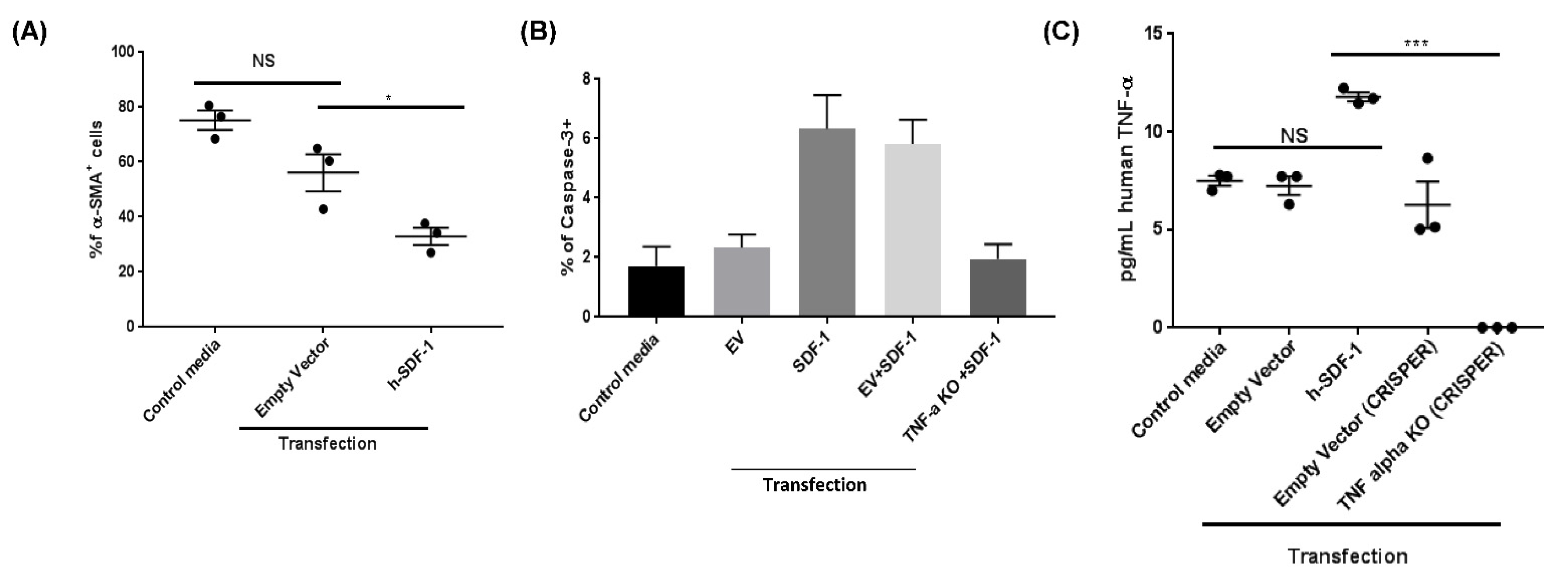 Pharmaceutics 14 01803 g007