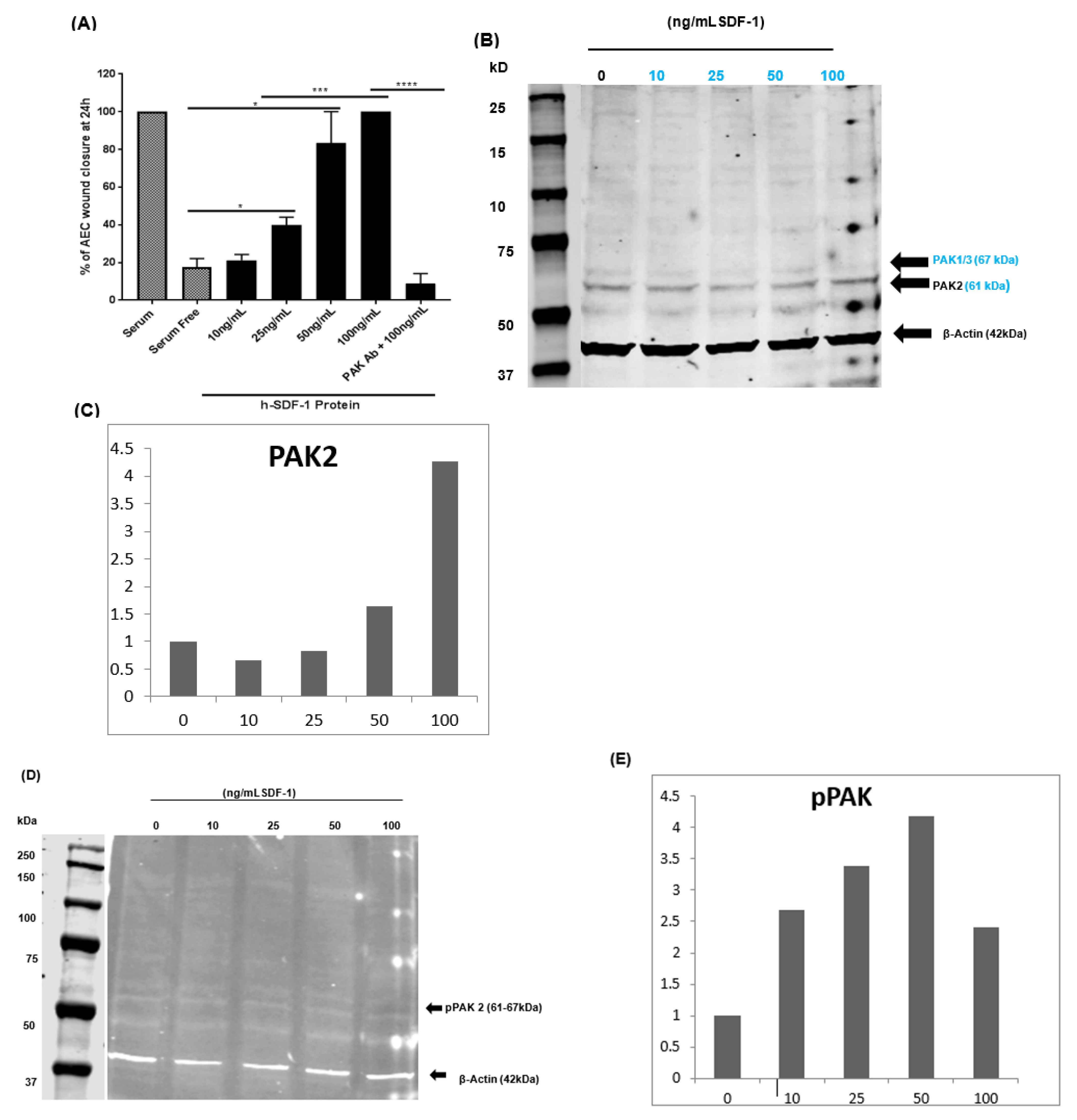 Pharmaceutics 14 01803 g008