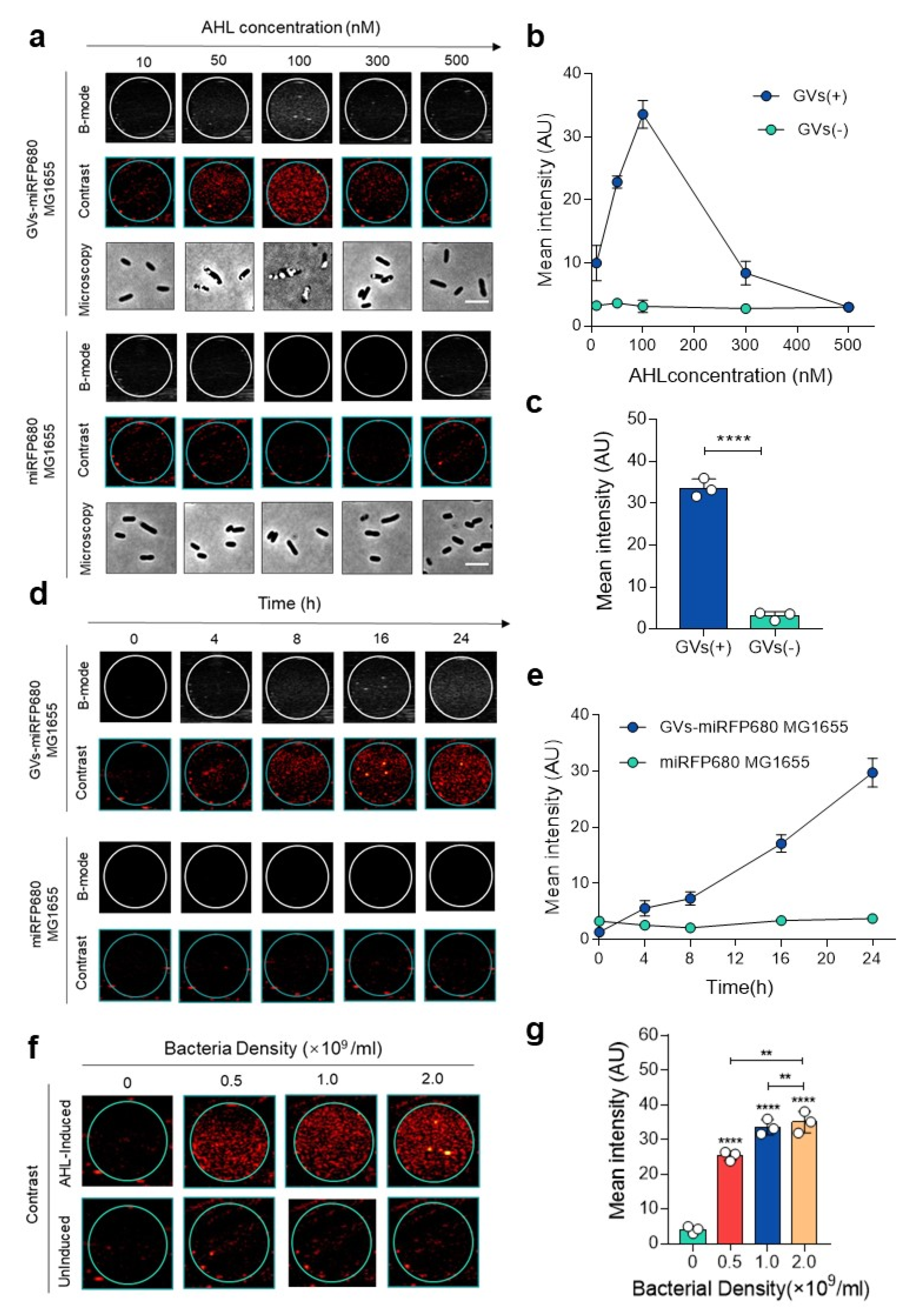 Pharmaceutics 14 01804 g003