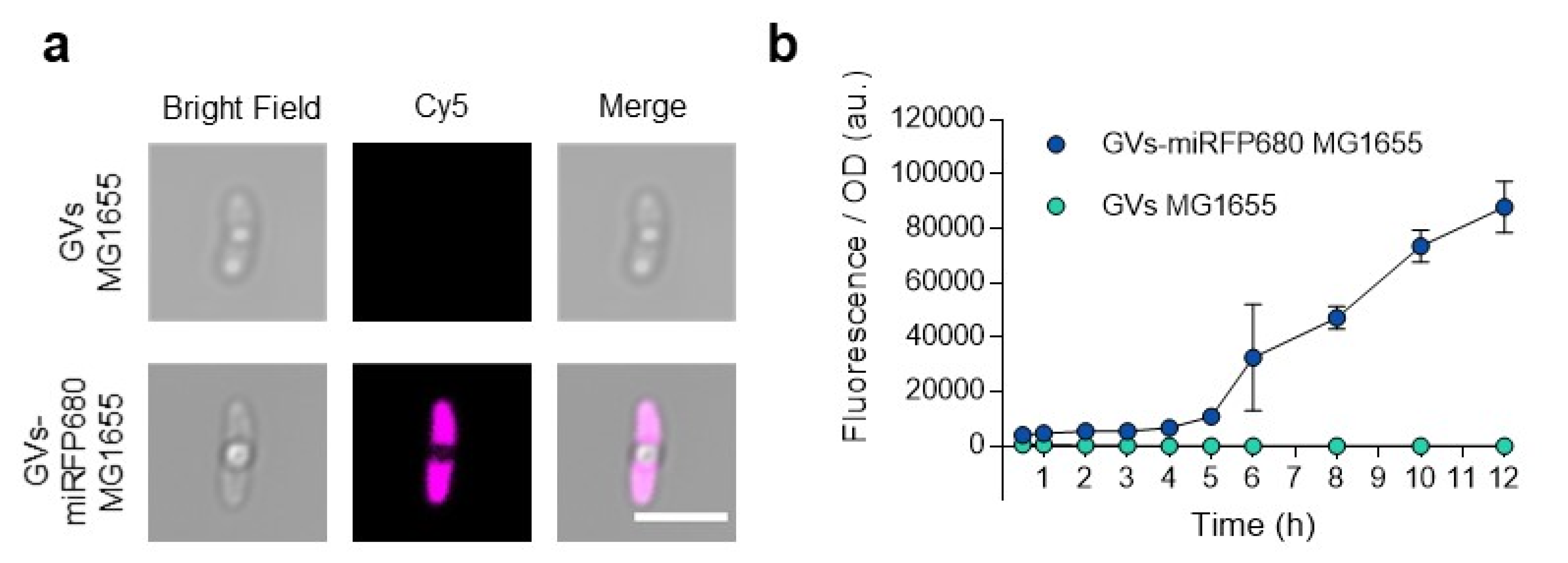 Pharmaceutics 14 01804 g005
