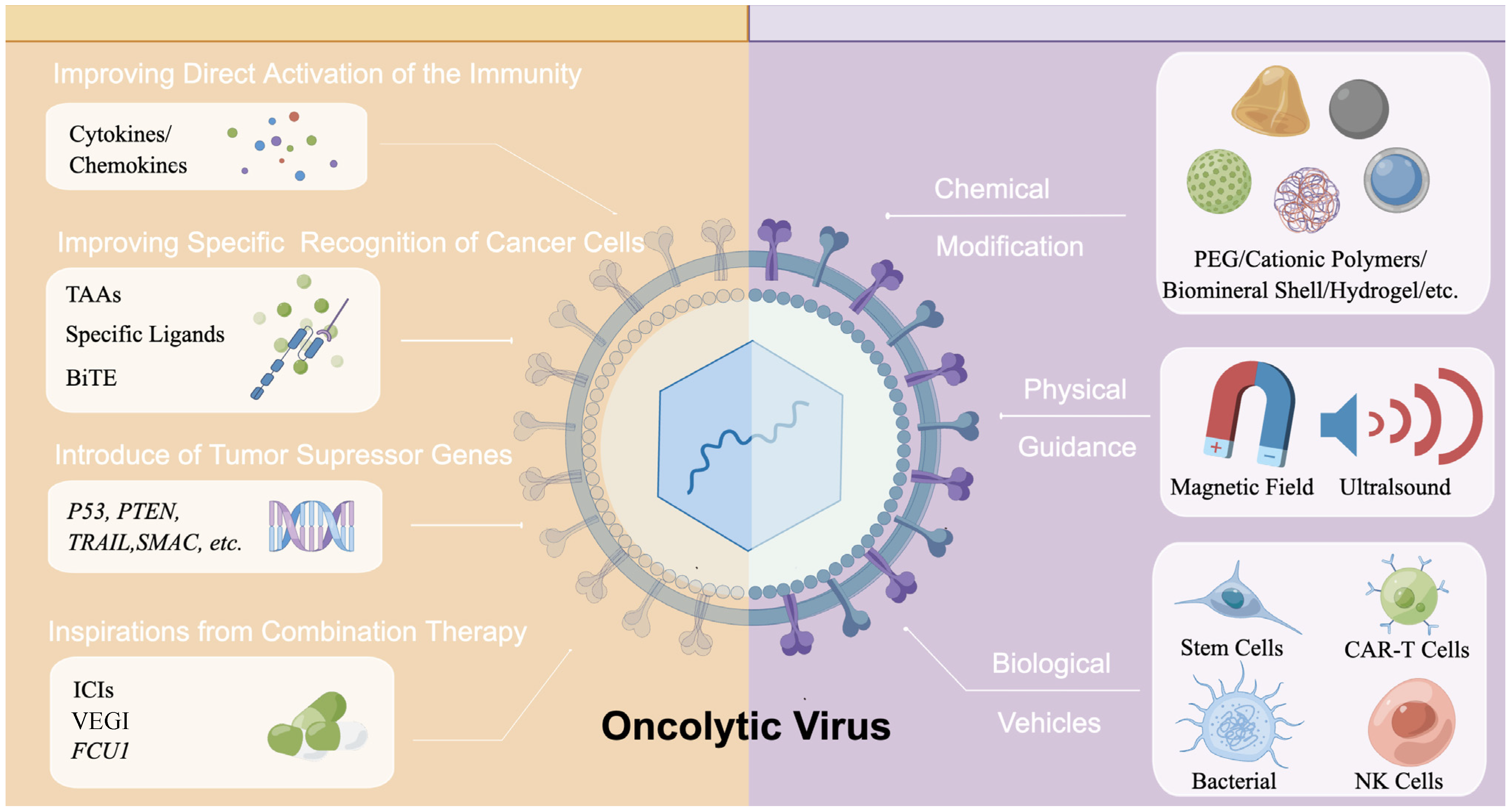 Pharmaceutics | Free Full-Text | Strategies for Advanced Oncolytic  Virotherapy: Current Technology Innovations and Clinical Approaches