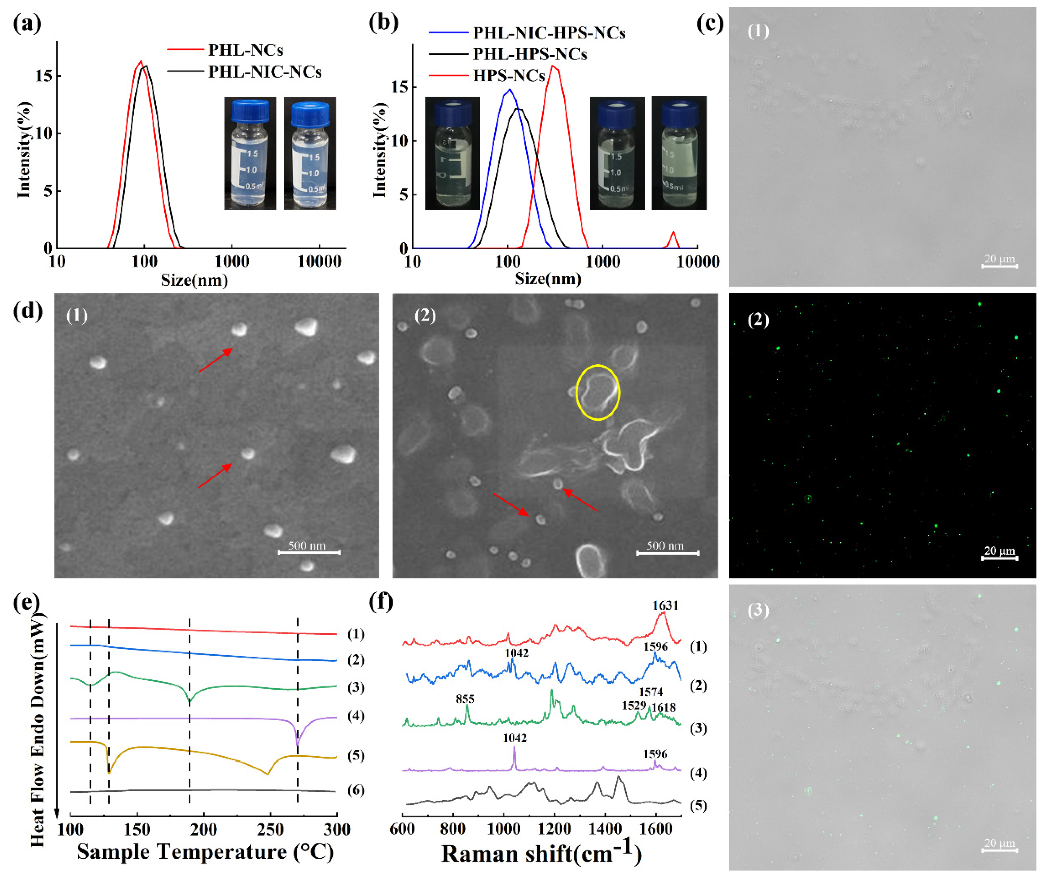 Pharmaceutics 14 01825 g001