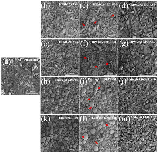 https://www.mdpi.com/pharmaceutics/pharmaceutics-14-01830/article_deploy/html/images/pharmaceutics-14-01830-g006-550.jpg