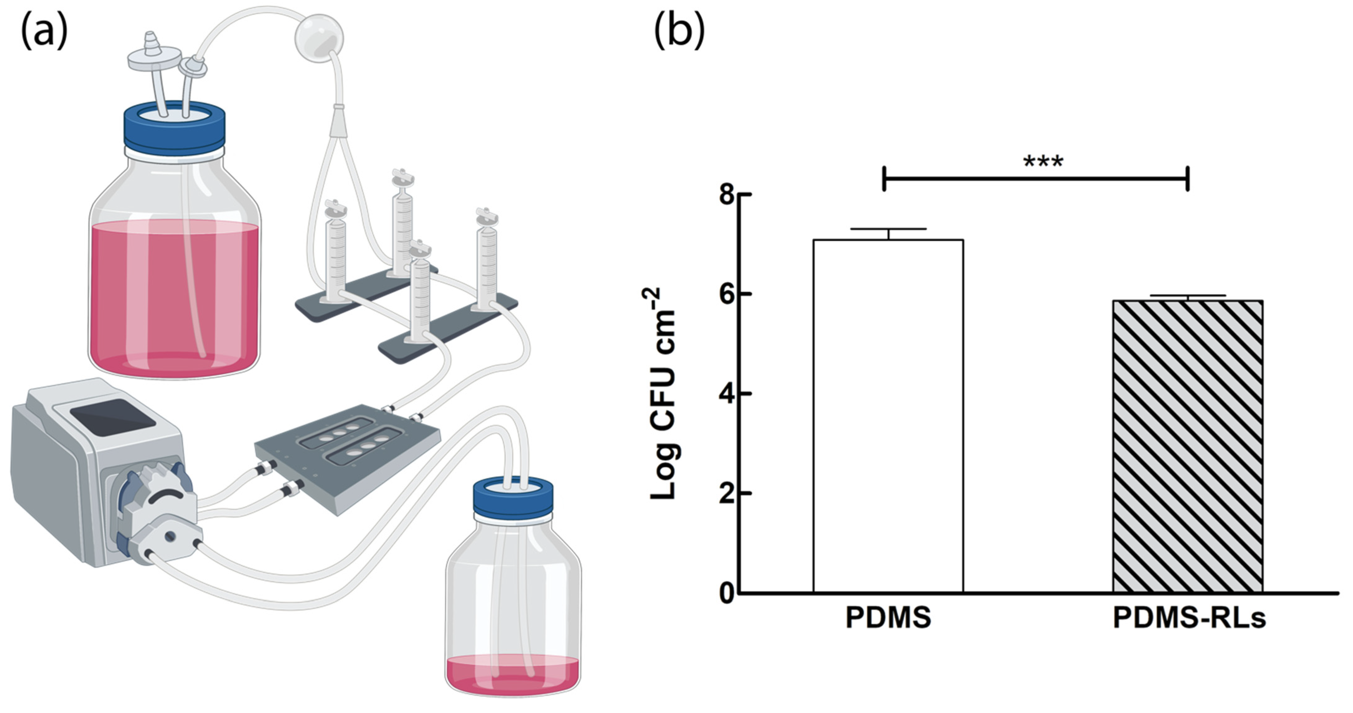 Pharmaceutics 14 01836 g004 Pharmaceutics 14 01836 g004