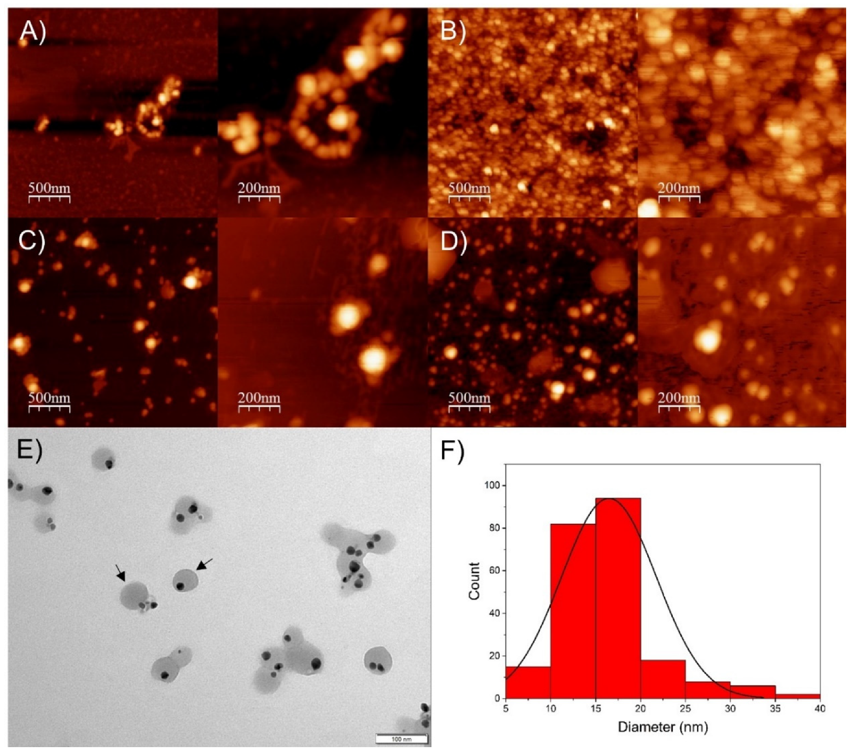 Pharmaceutics 14 01853 g003