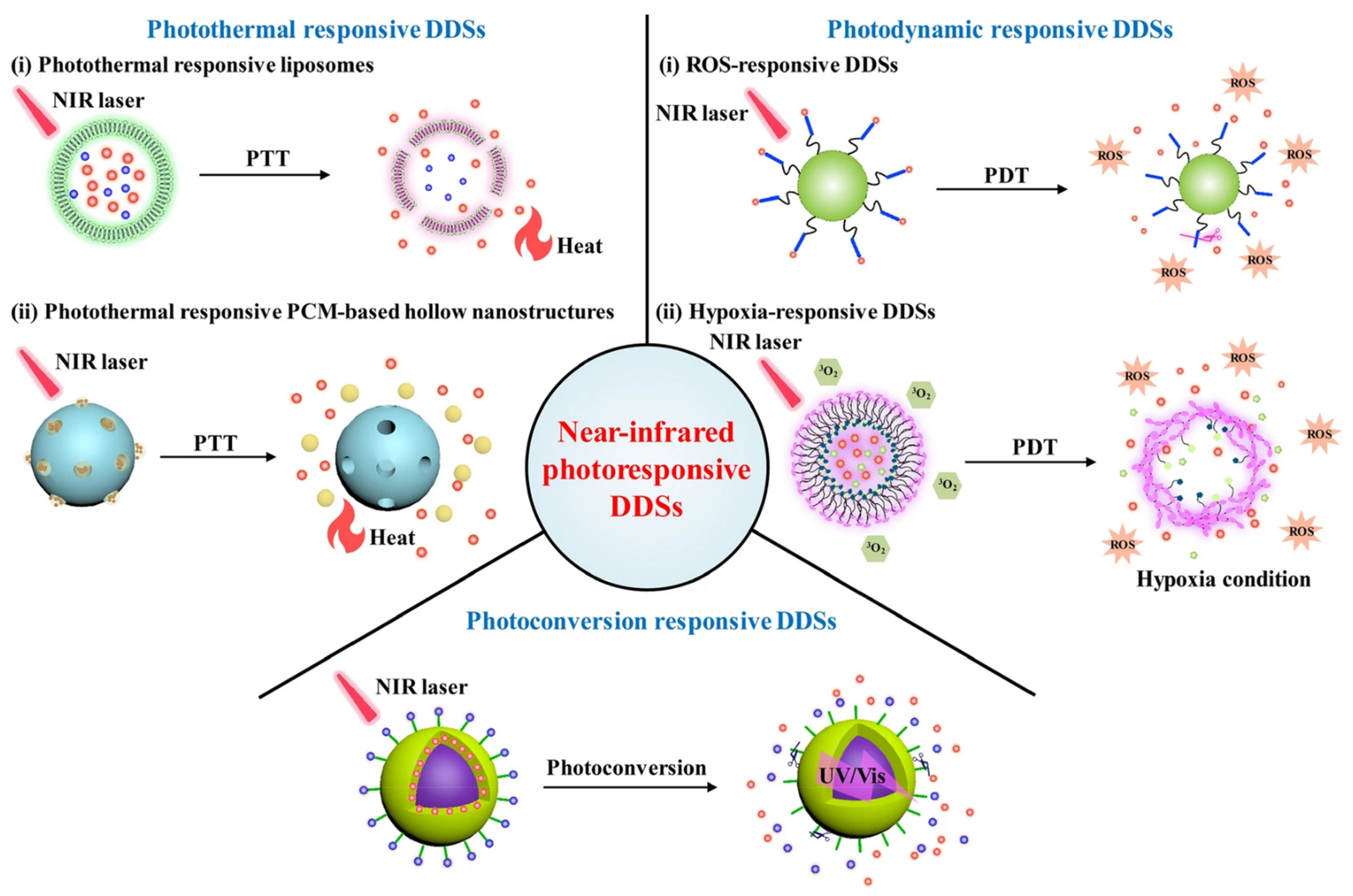 Pharmaceutics 14 01860 g004