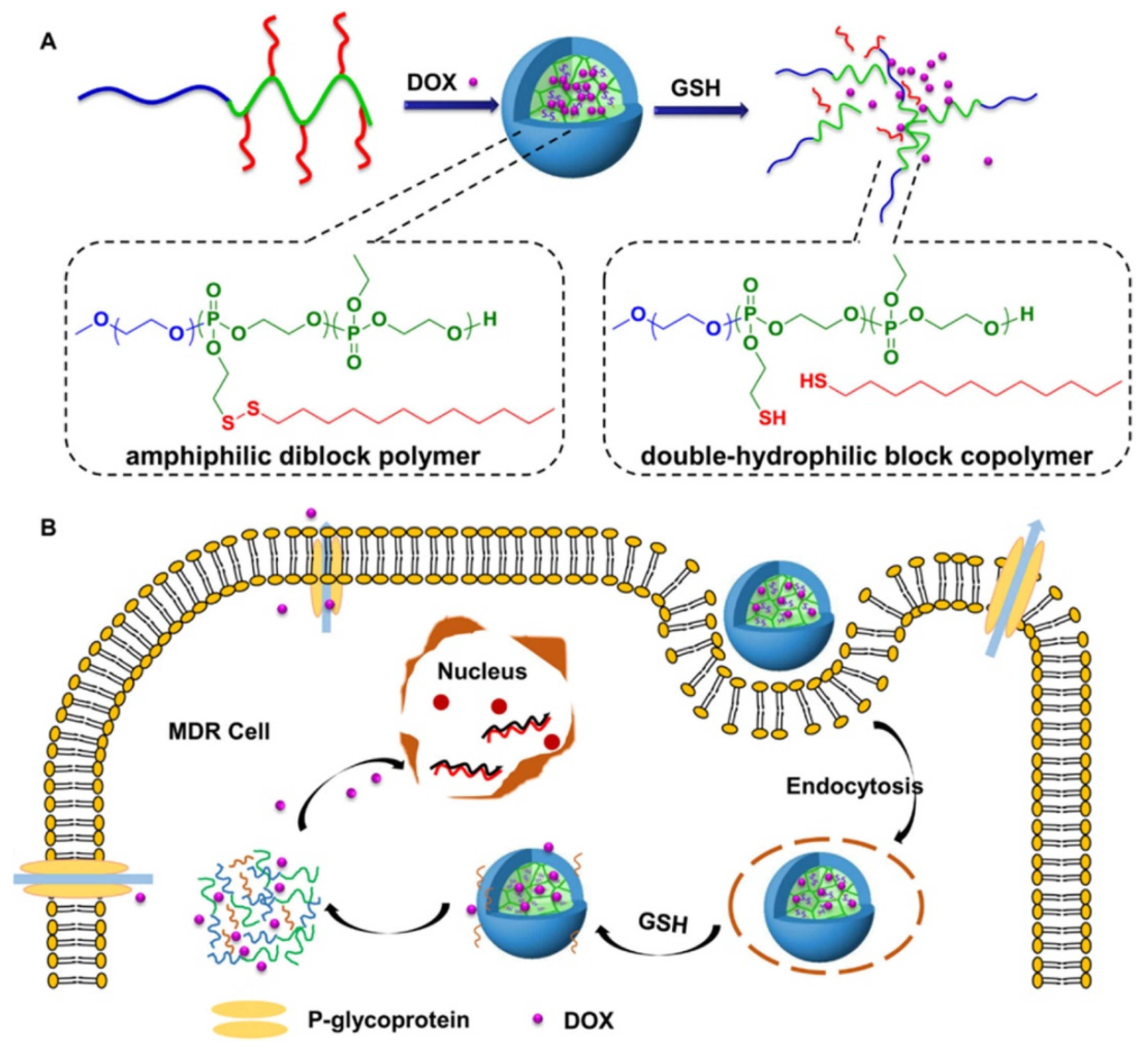Pharmaceutics 14 01860 g005