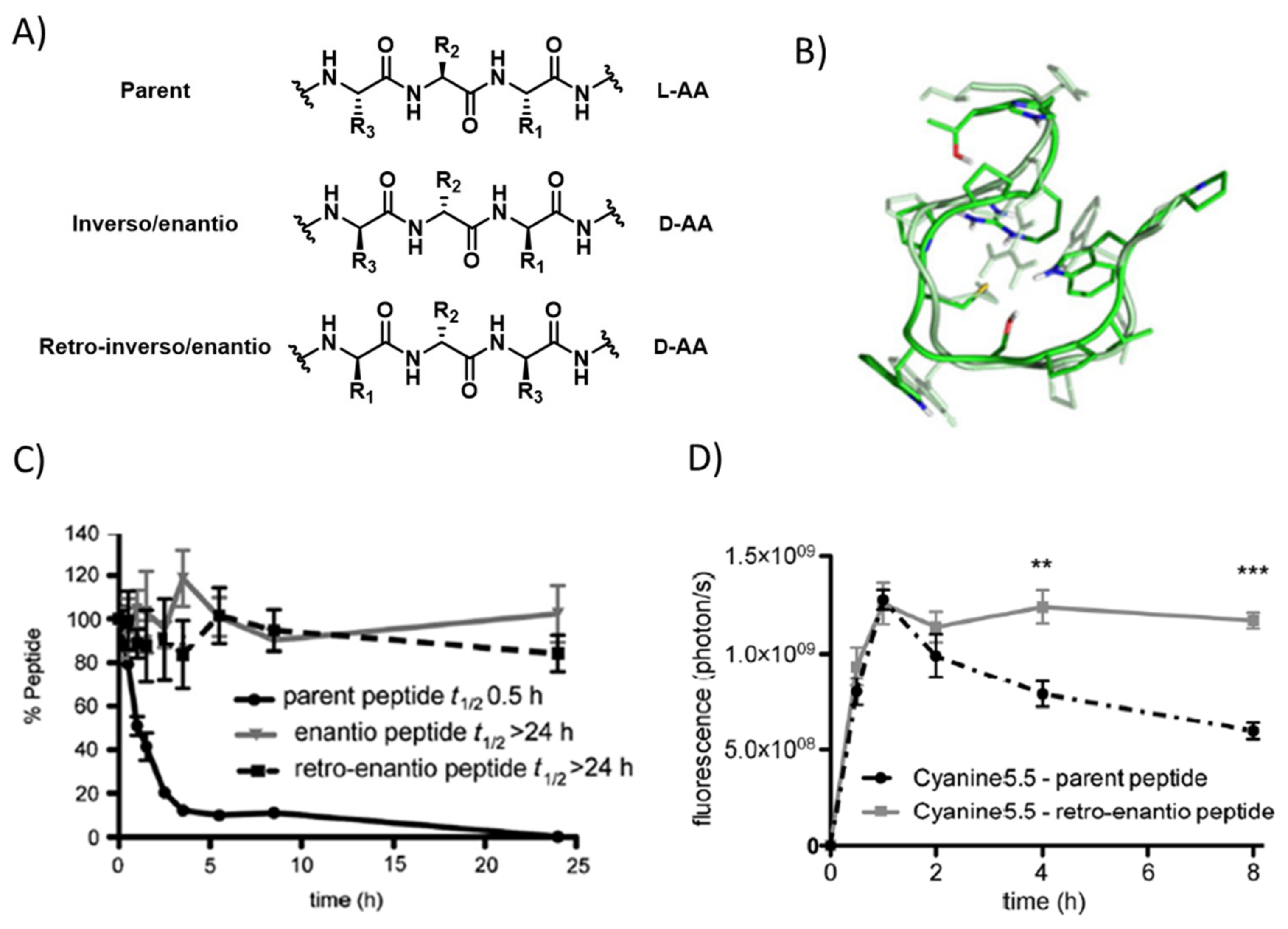 Pharmaceutics | Free Full-Text | Peptide Shuttles For Blood–Brain ...