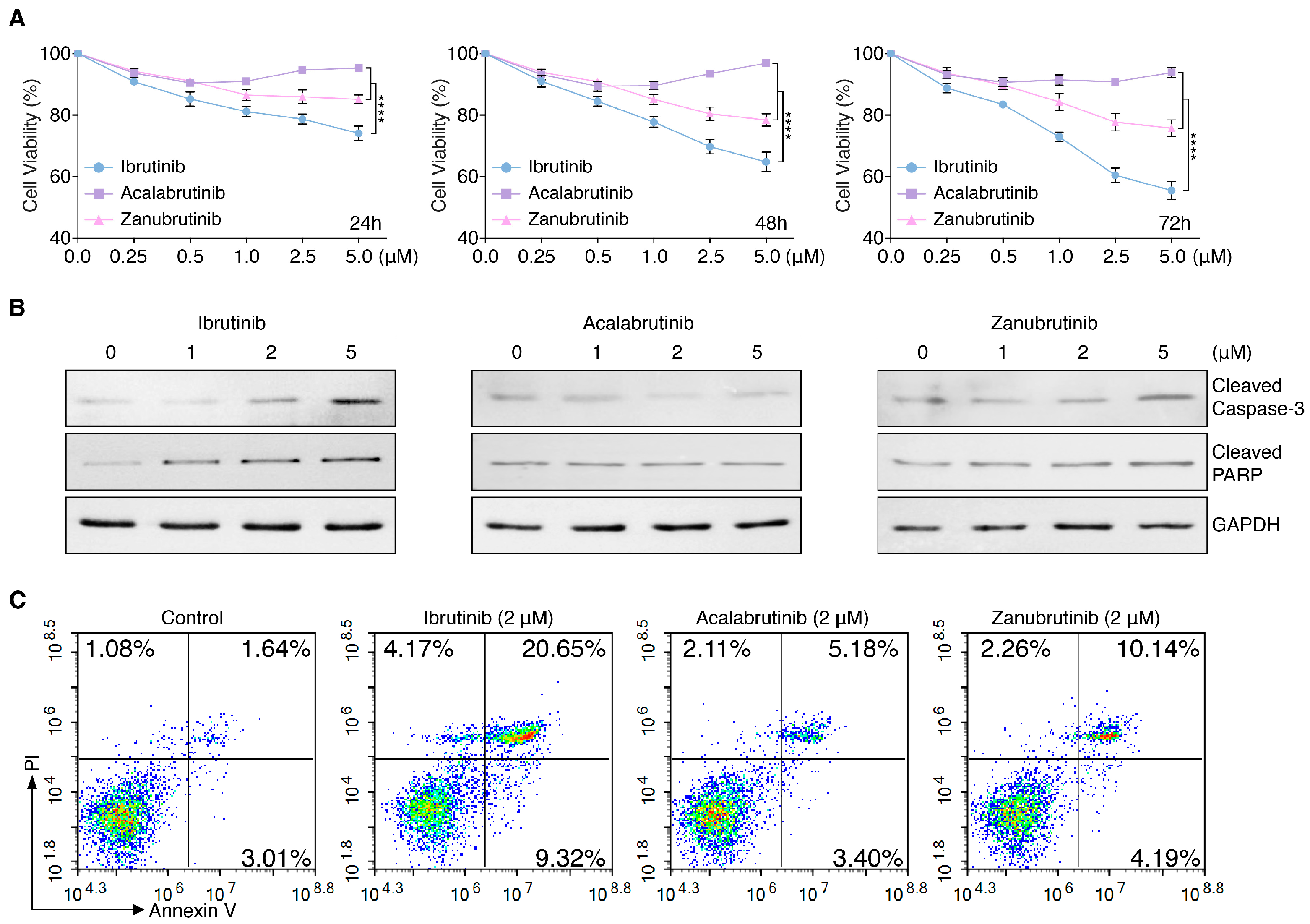 Pharmaceutics | Free Full-Text | Ibrutinib Inhibits Angiogenesis And ...