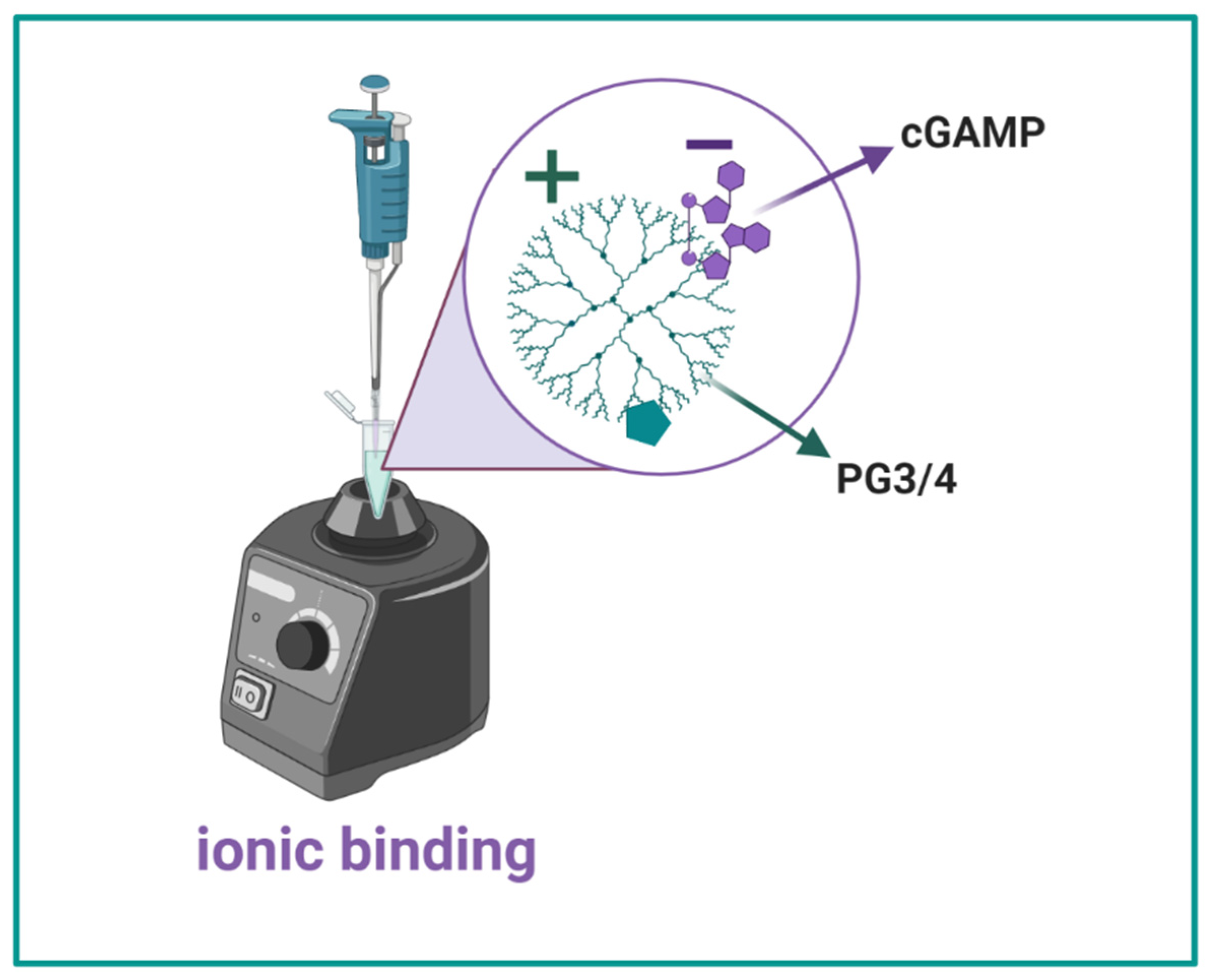 Pharmaceutics 14 01883 g003