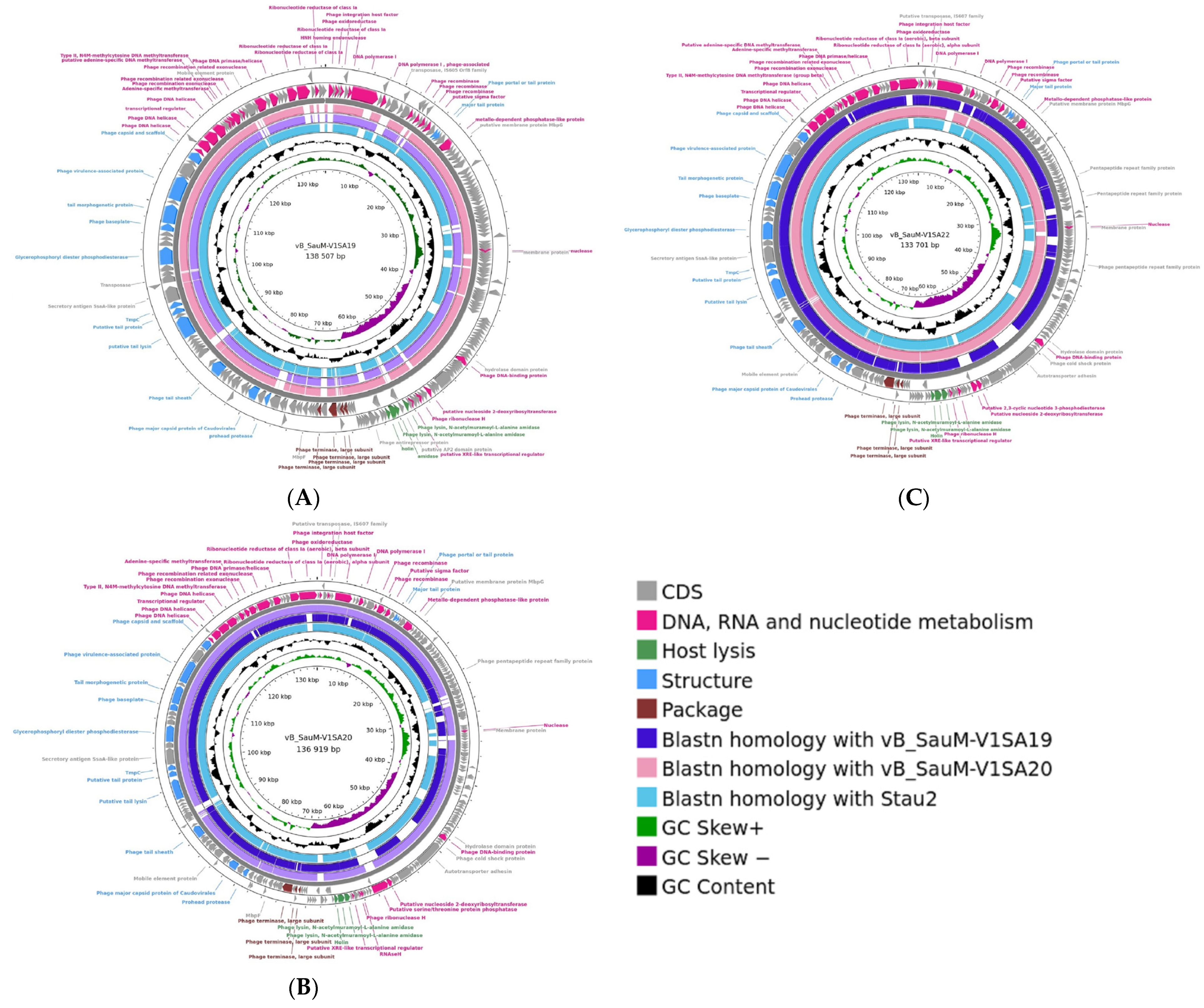 Pharmaceutics 14 01885 g001