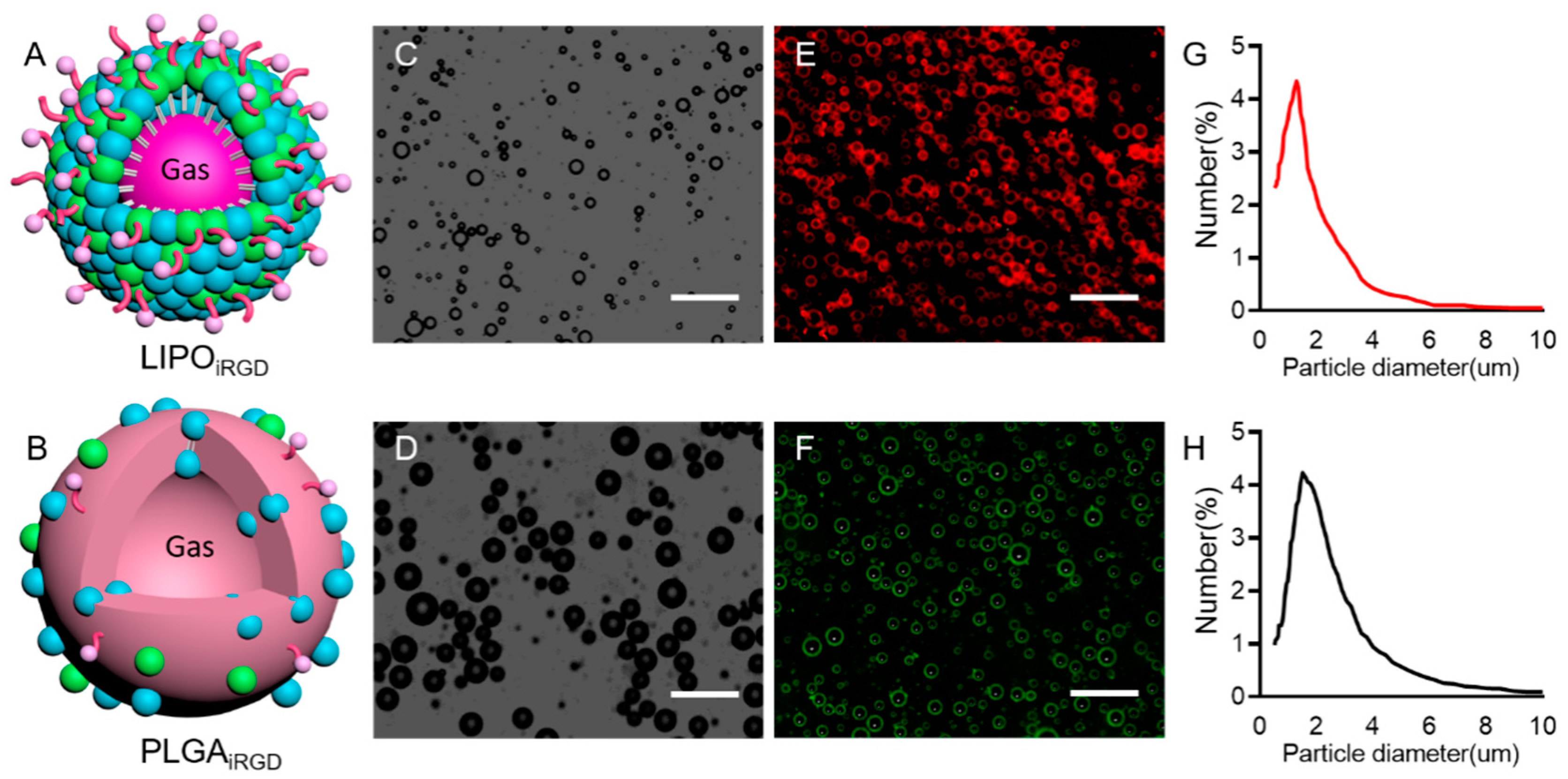 Pharmaceutics 14 01898 g001