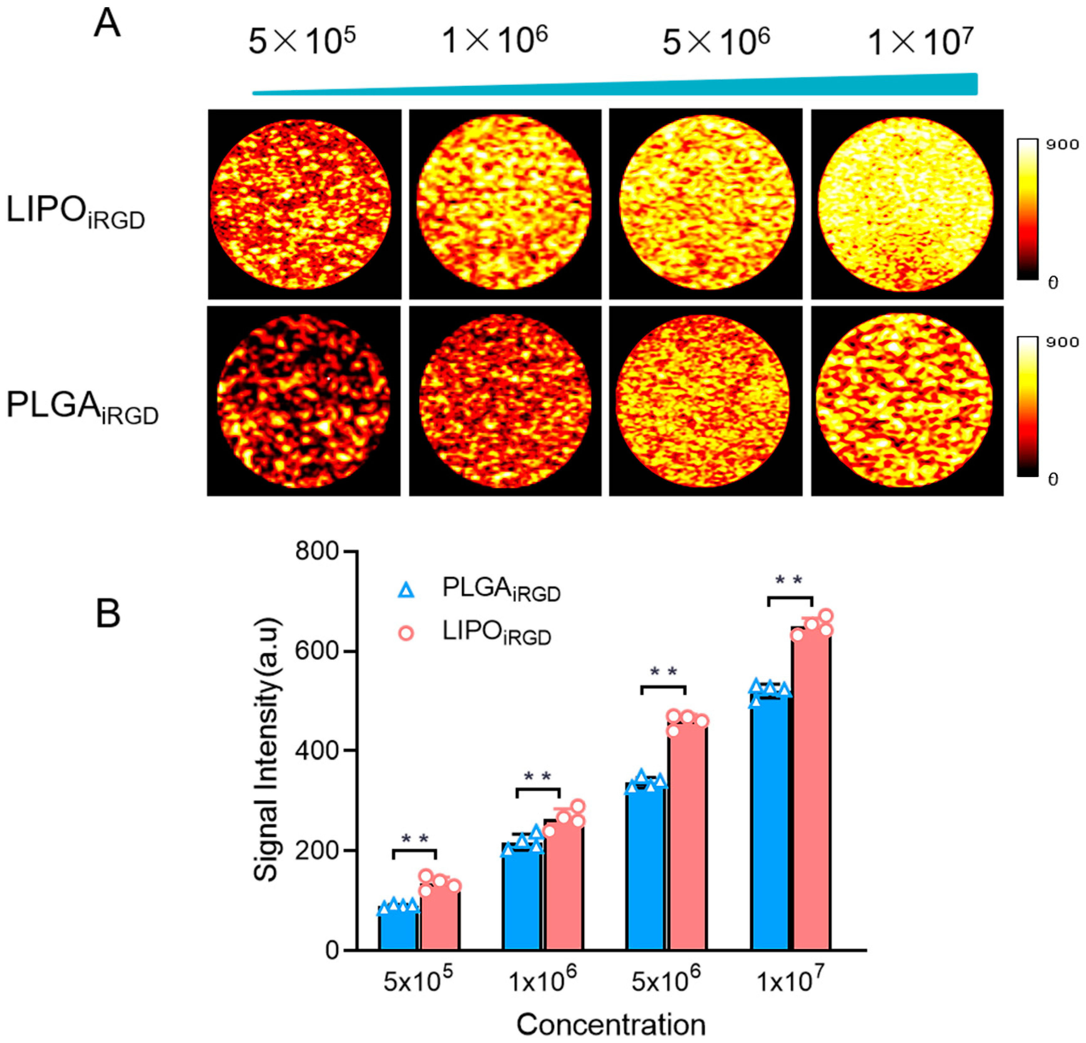 Pharmaceutics 14 01898 g002