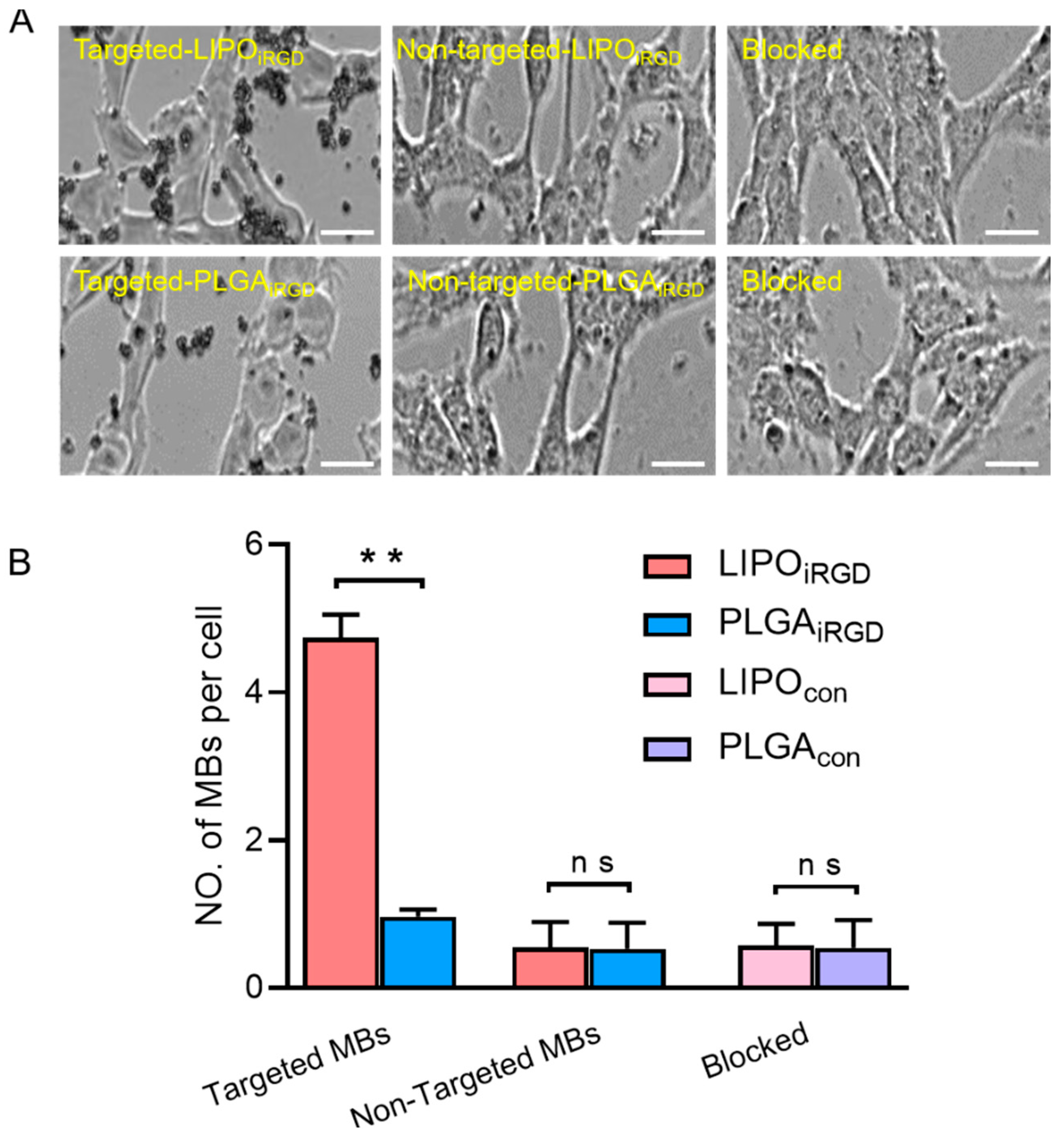Pharmaceutics 14 01898 g003