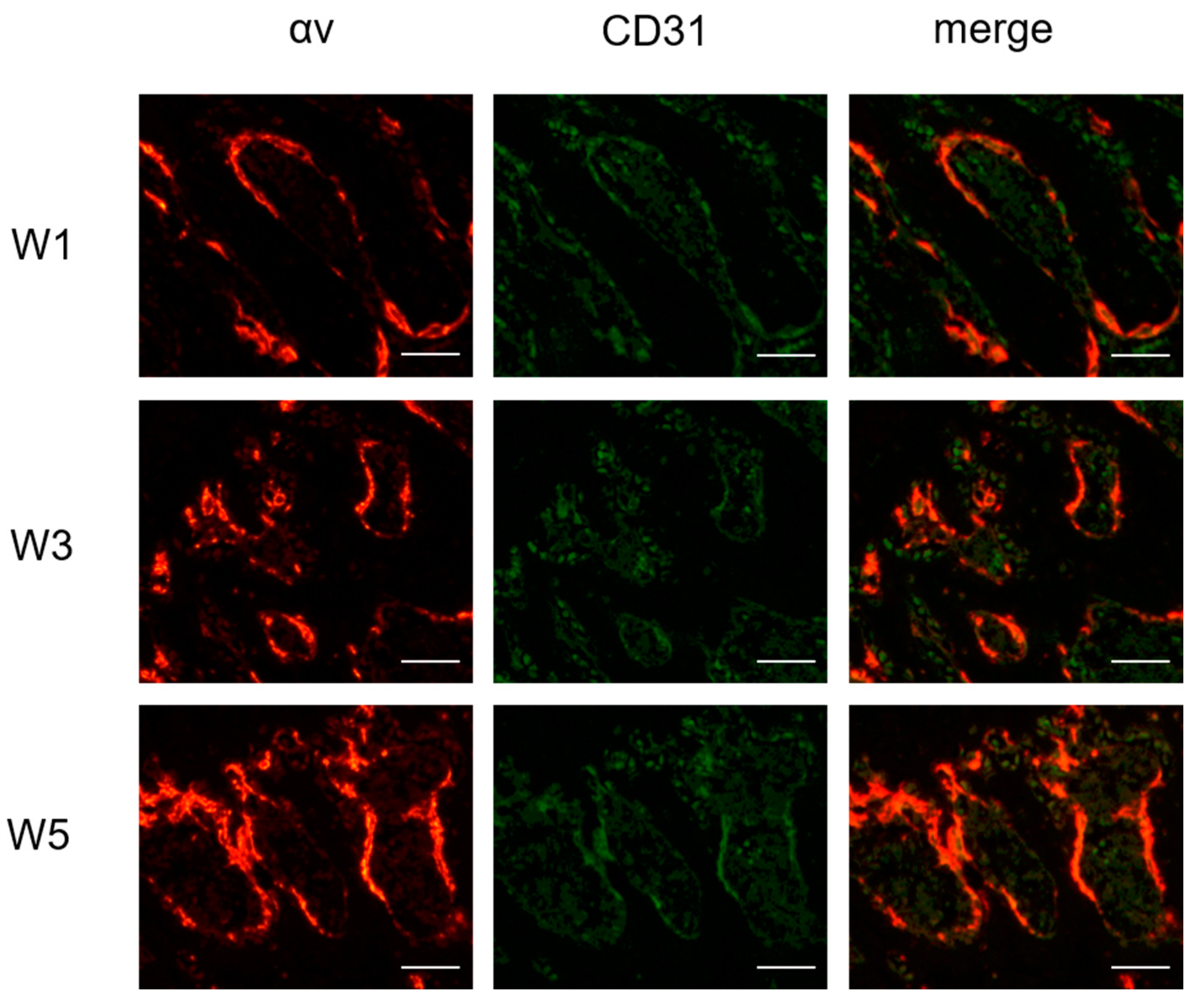 Pharmaceutics 14 01898 g006
