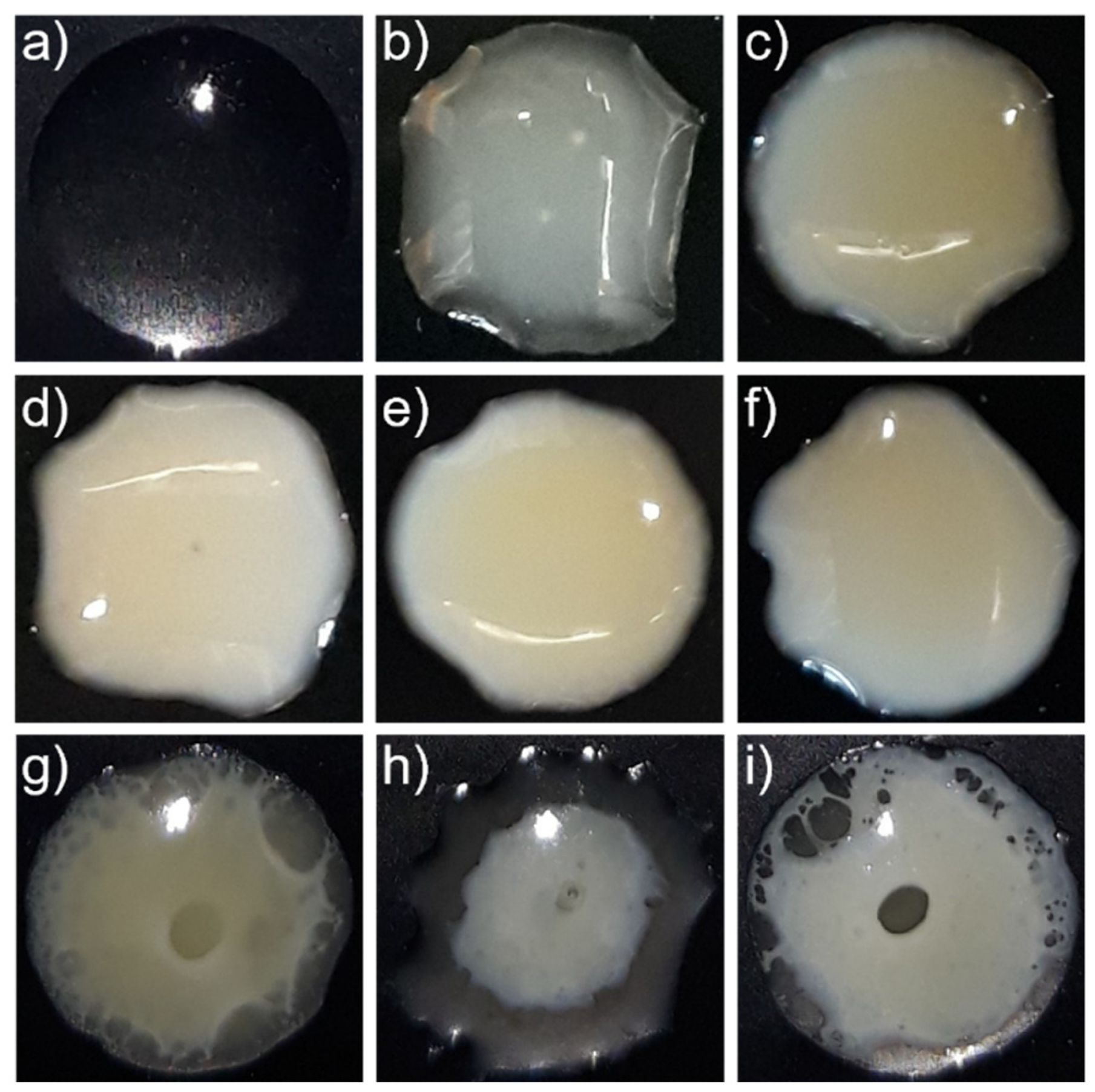 Pharmaceutics 14 01904 g003