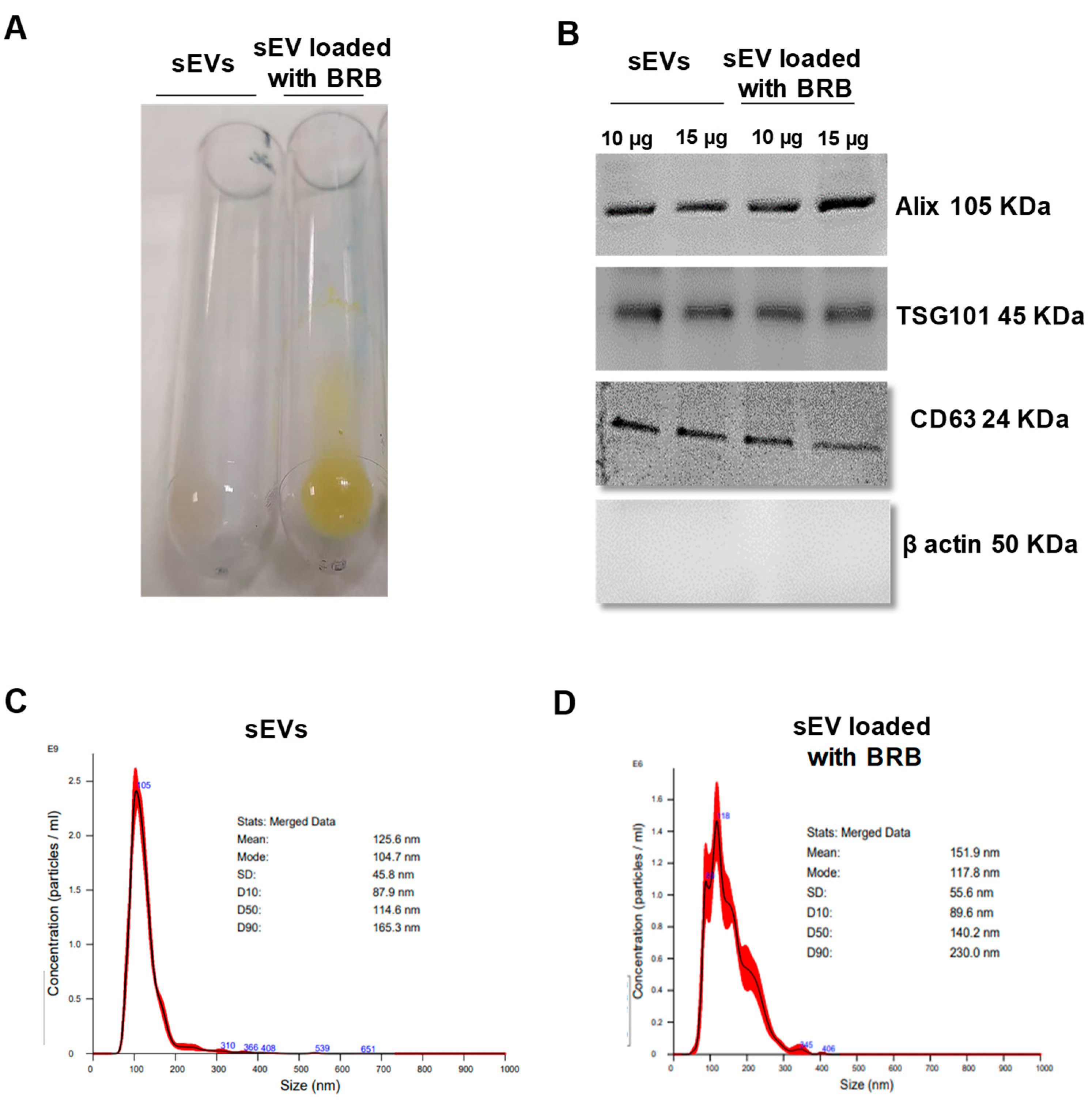 Pharmaceutics 14 01913 g001
