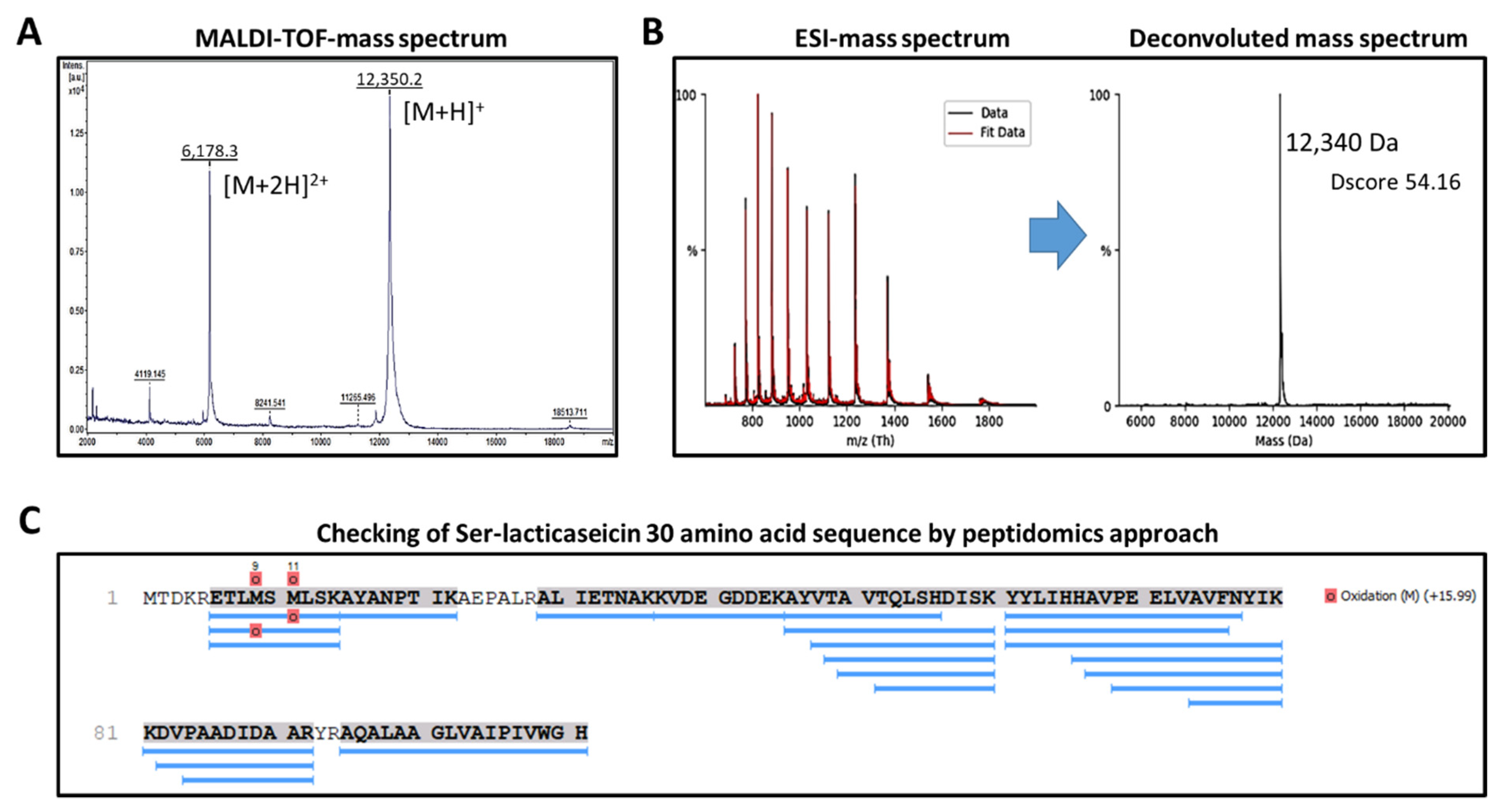 Pharmaceutics 14 01921 g001