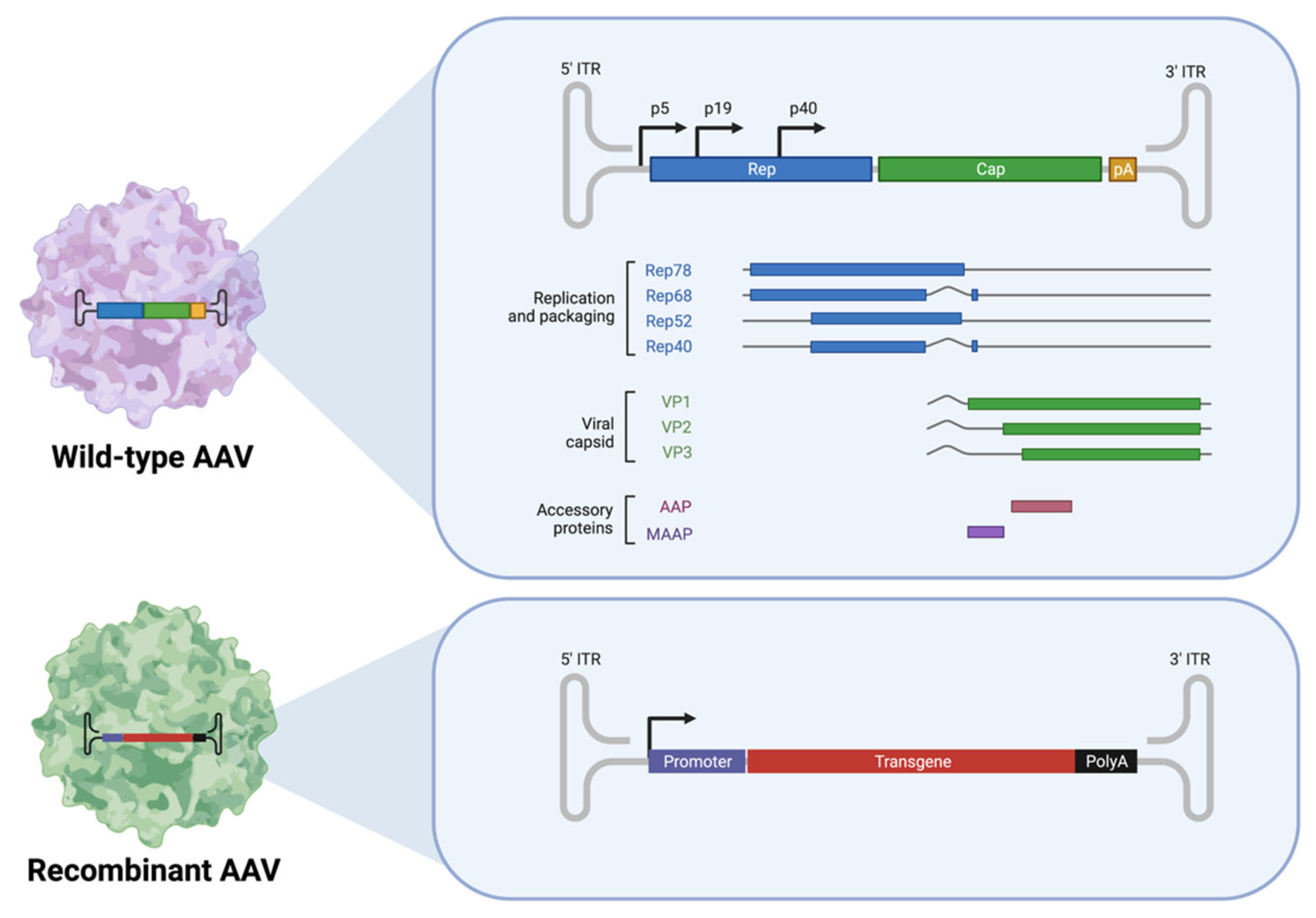 Pharmaceutics 14 01931 g002