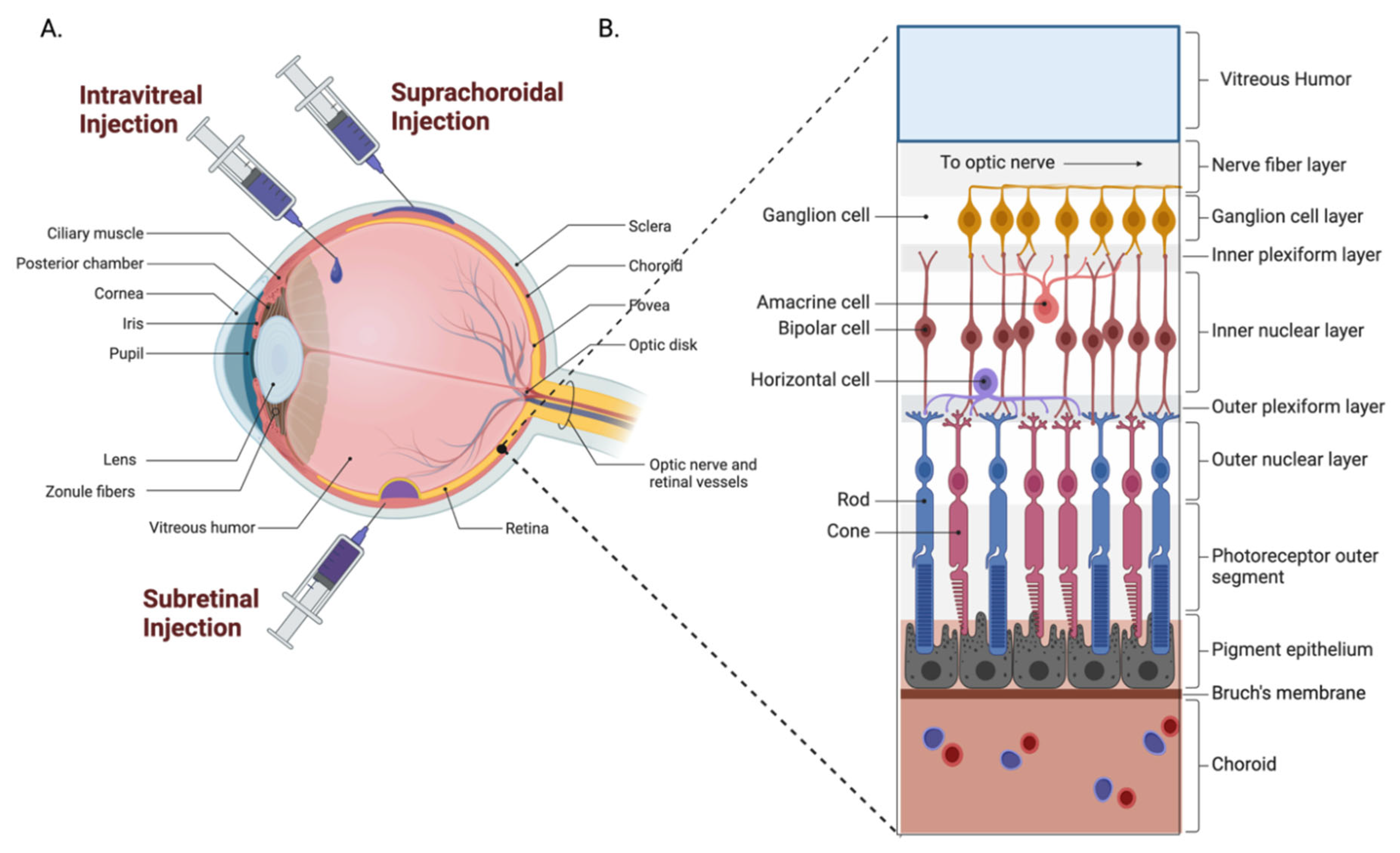 Pharmaceutics 14 01931 g006