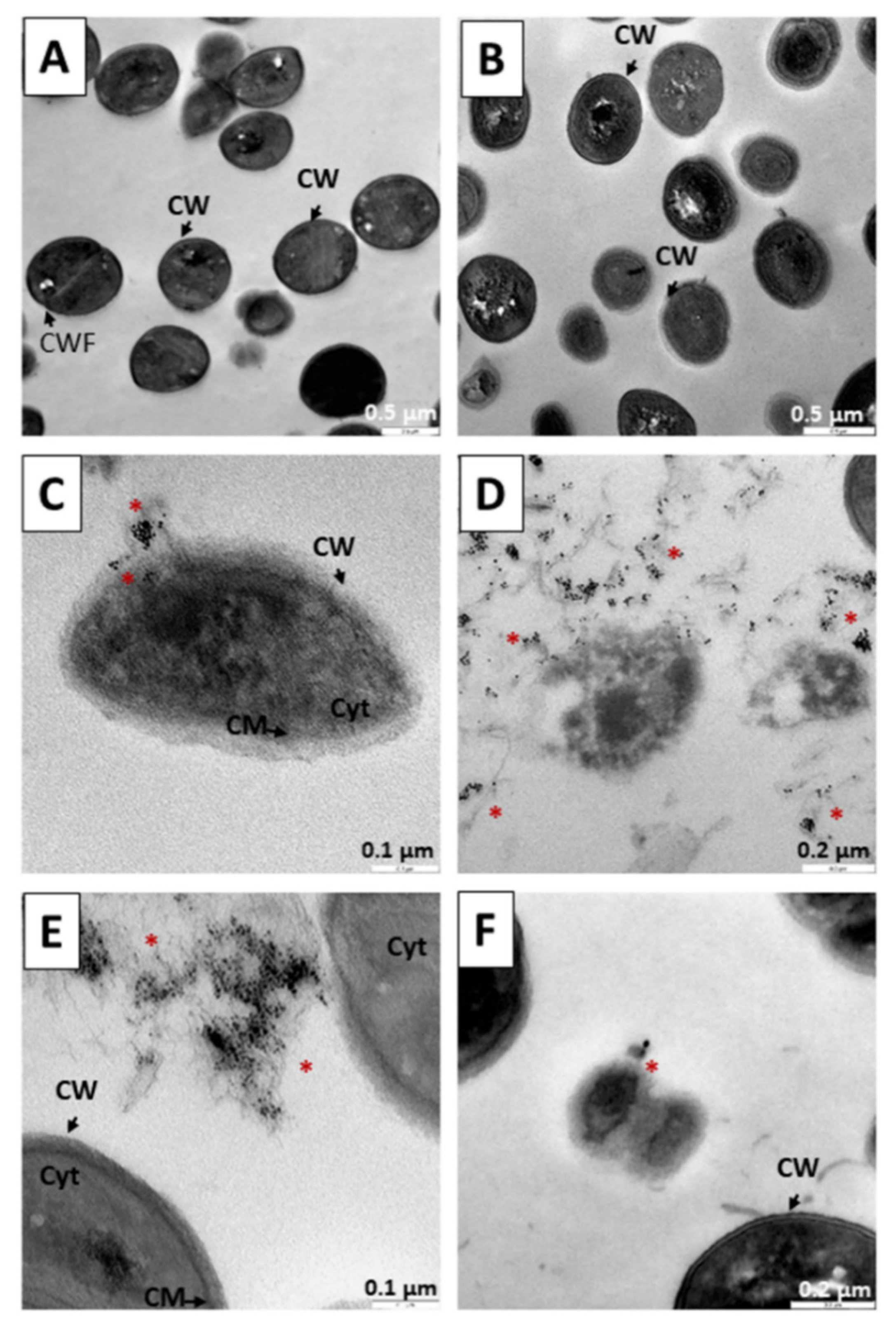 Pharmaceutics 14 01941 g009