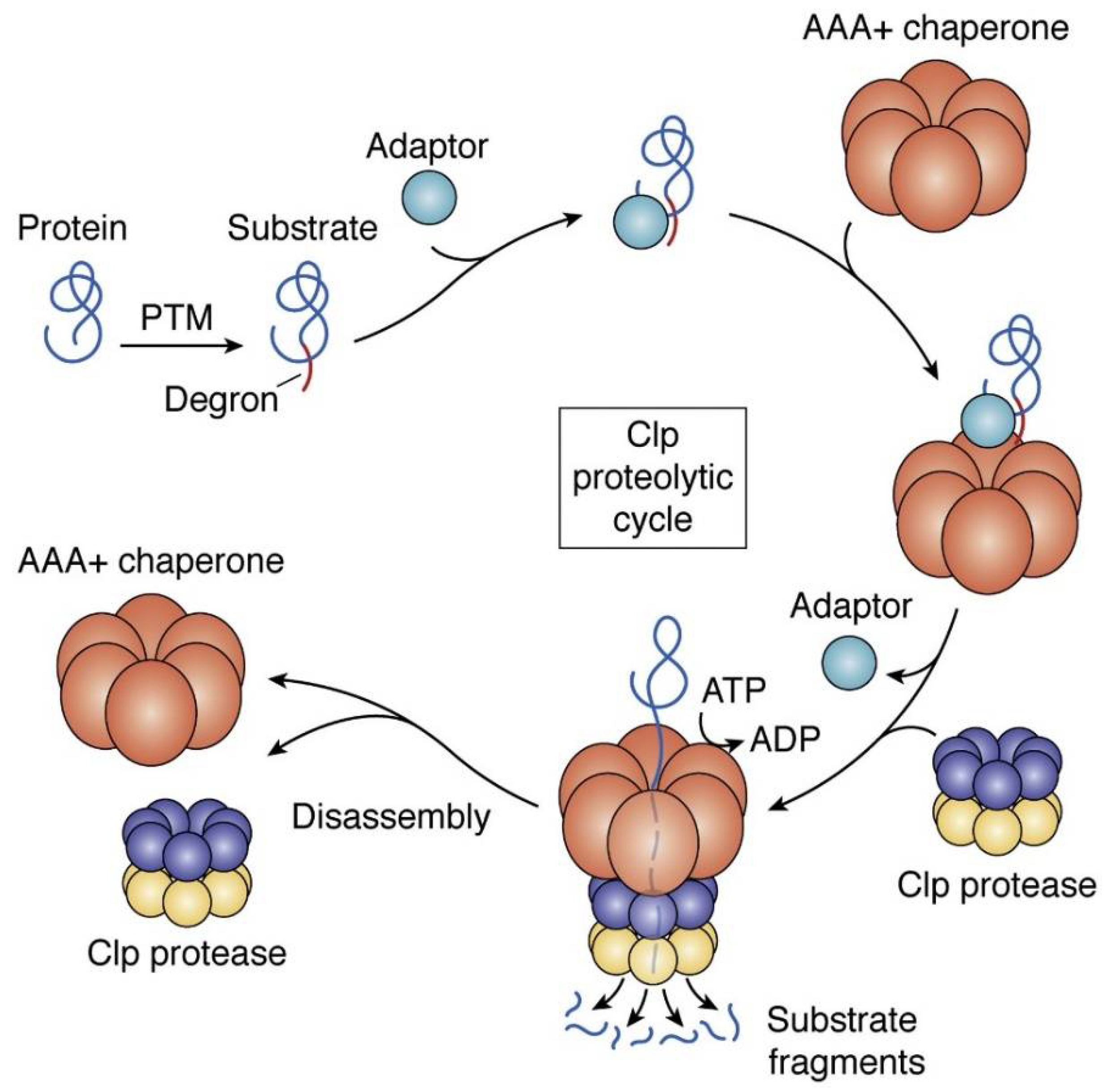 Pharmaceutics 14 01956 g002