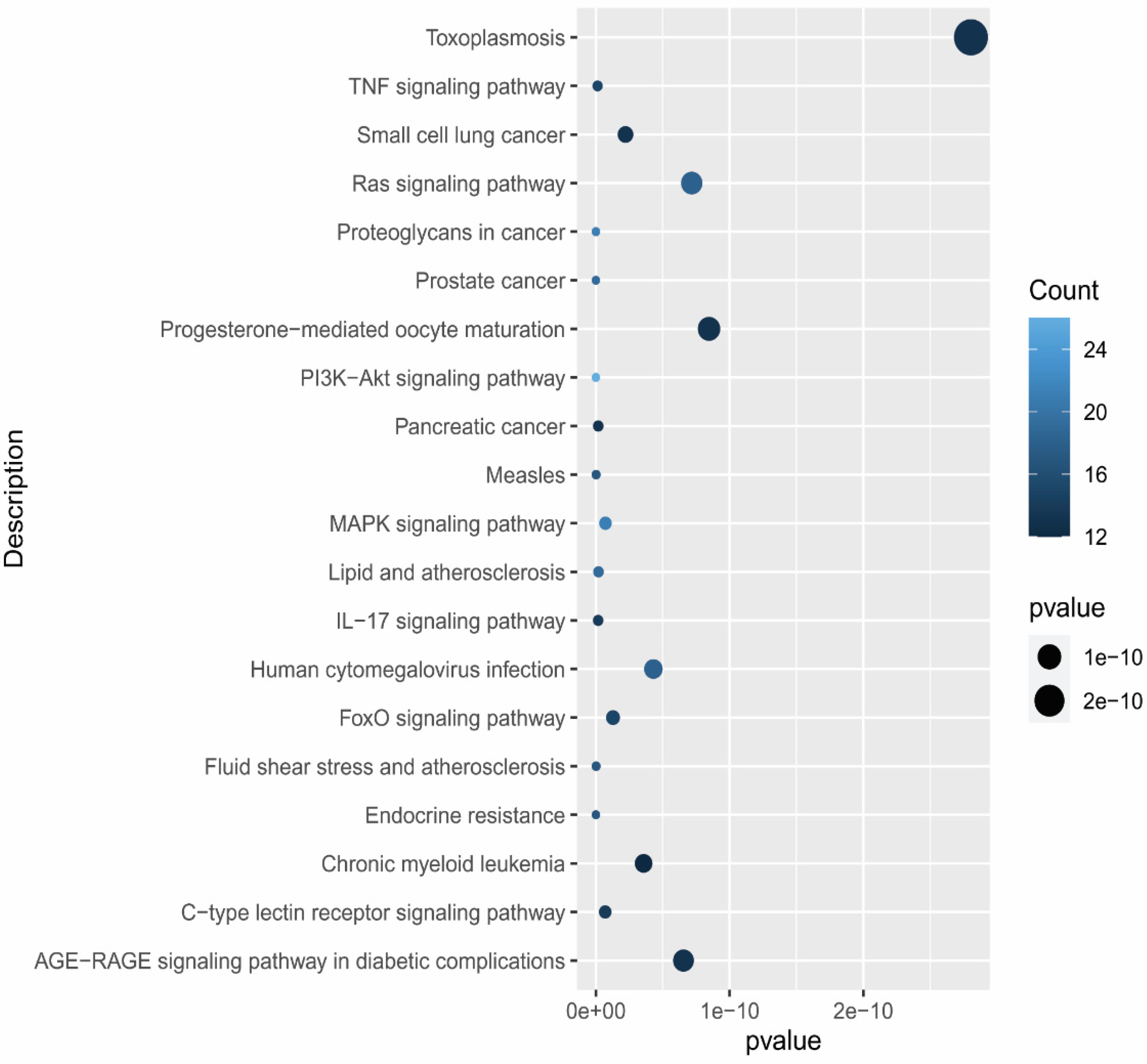 Pharmaceutics 14 01970 g007 Pharmaceutics 14 01970 g007