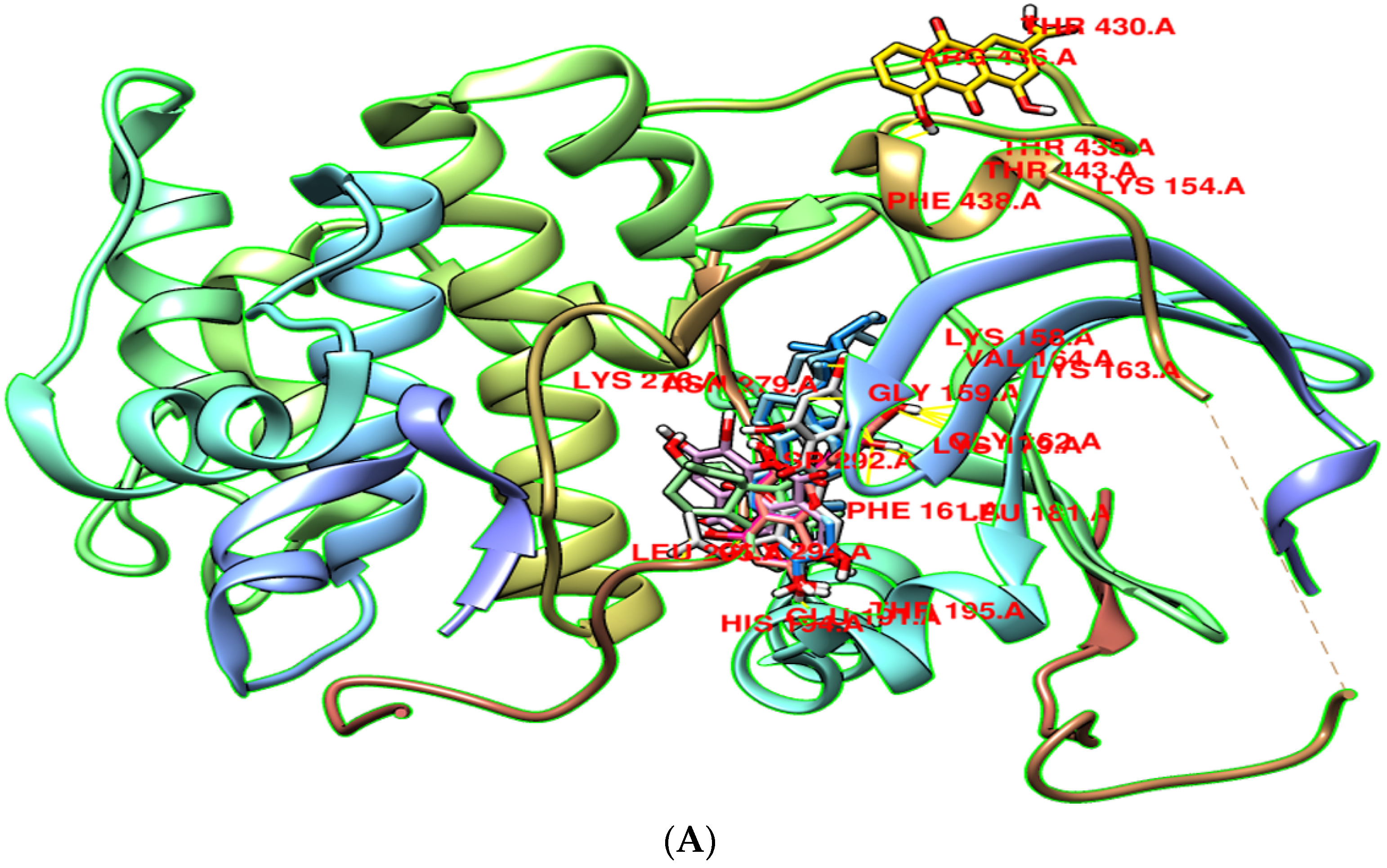 Pharmaceutics 14 01970 g009a Pharmaceutics 14 01970 g009a