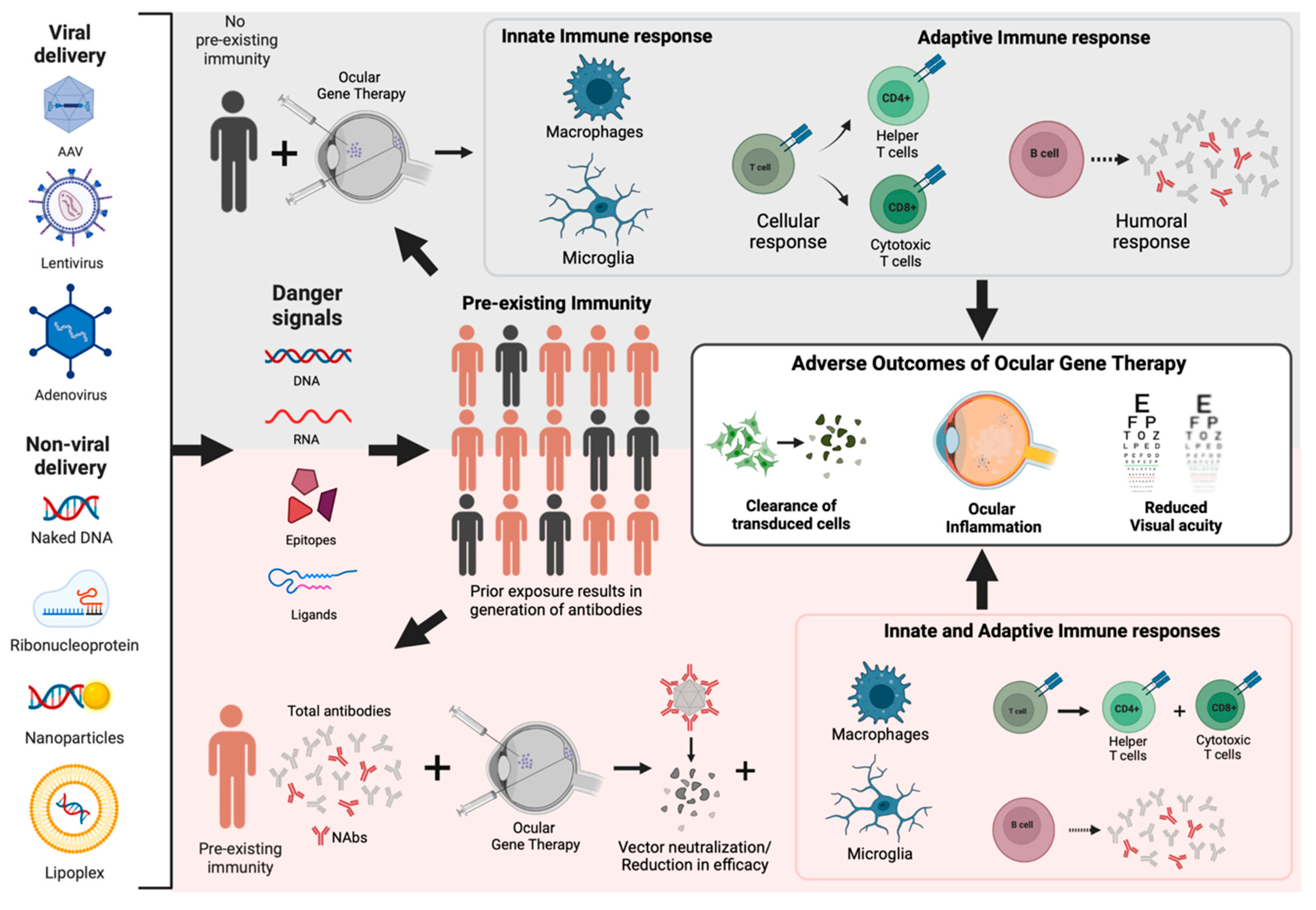 Pharmaceutics 14 01973 g001