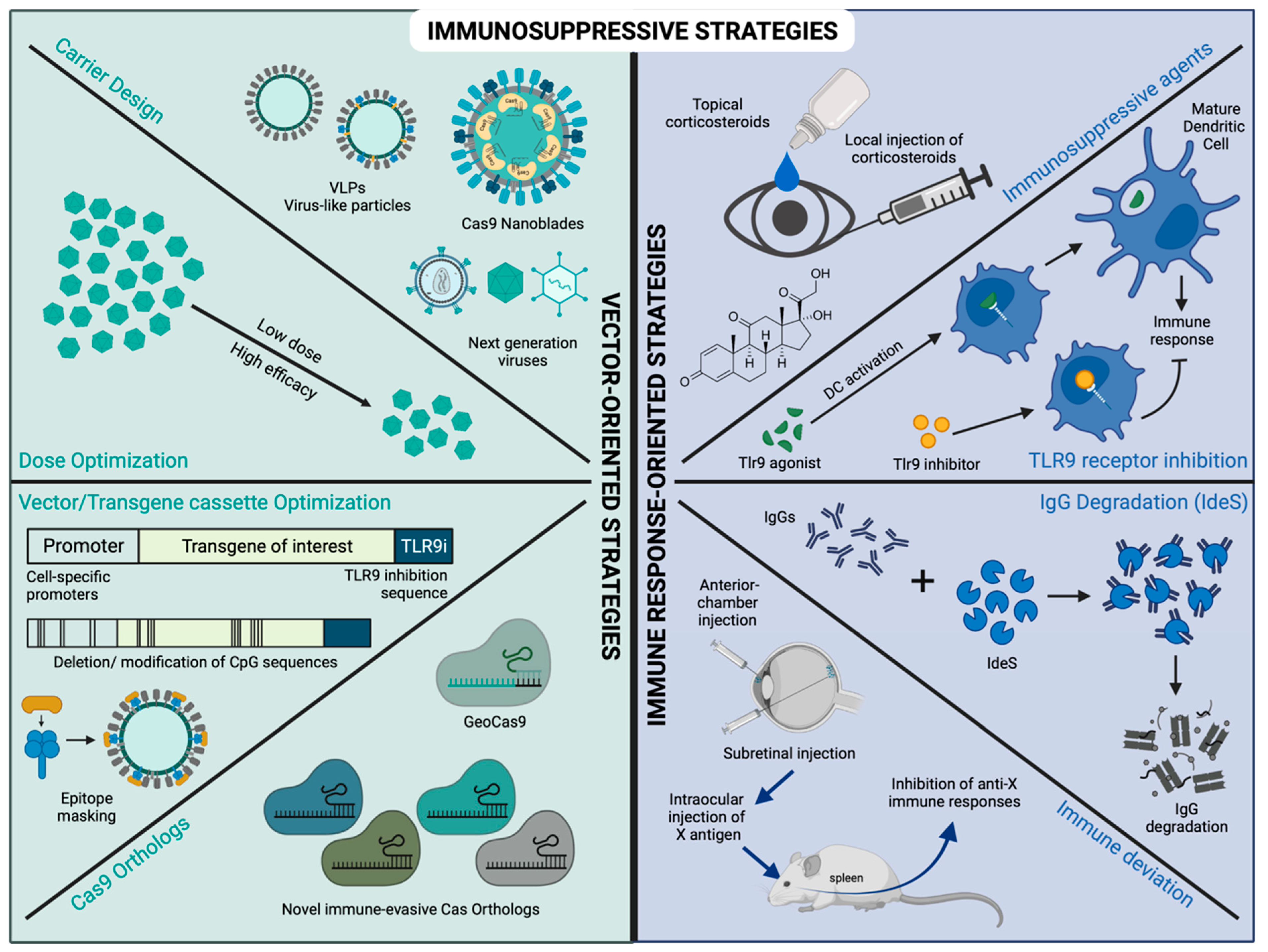 Pharmaceutics 14 01973 g002