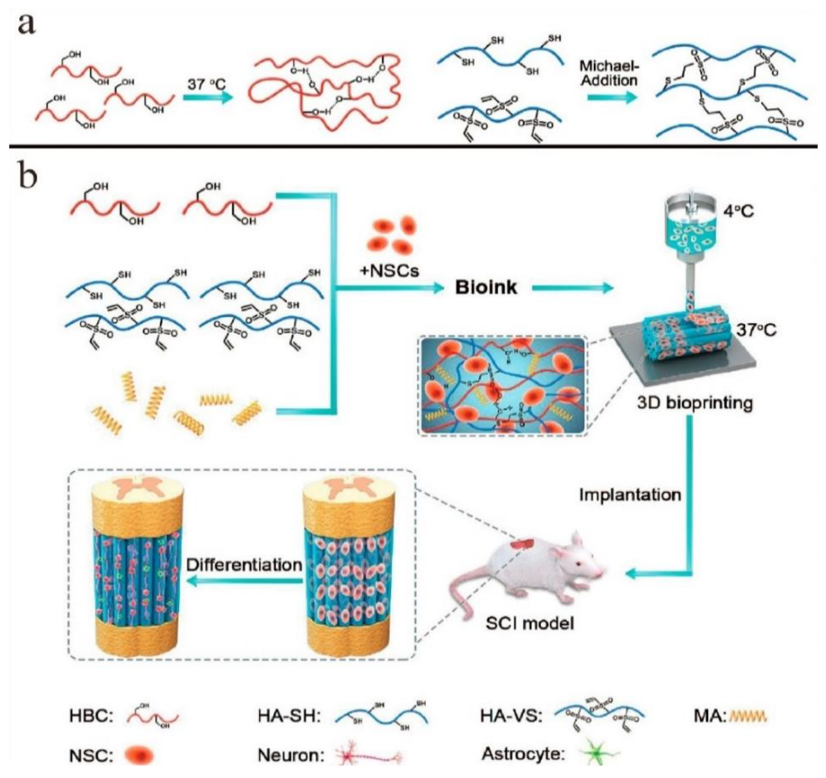 Pharmaceutics 14 01978 g012