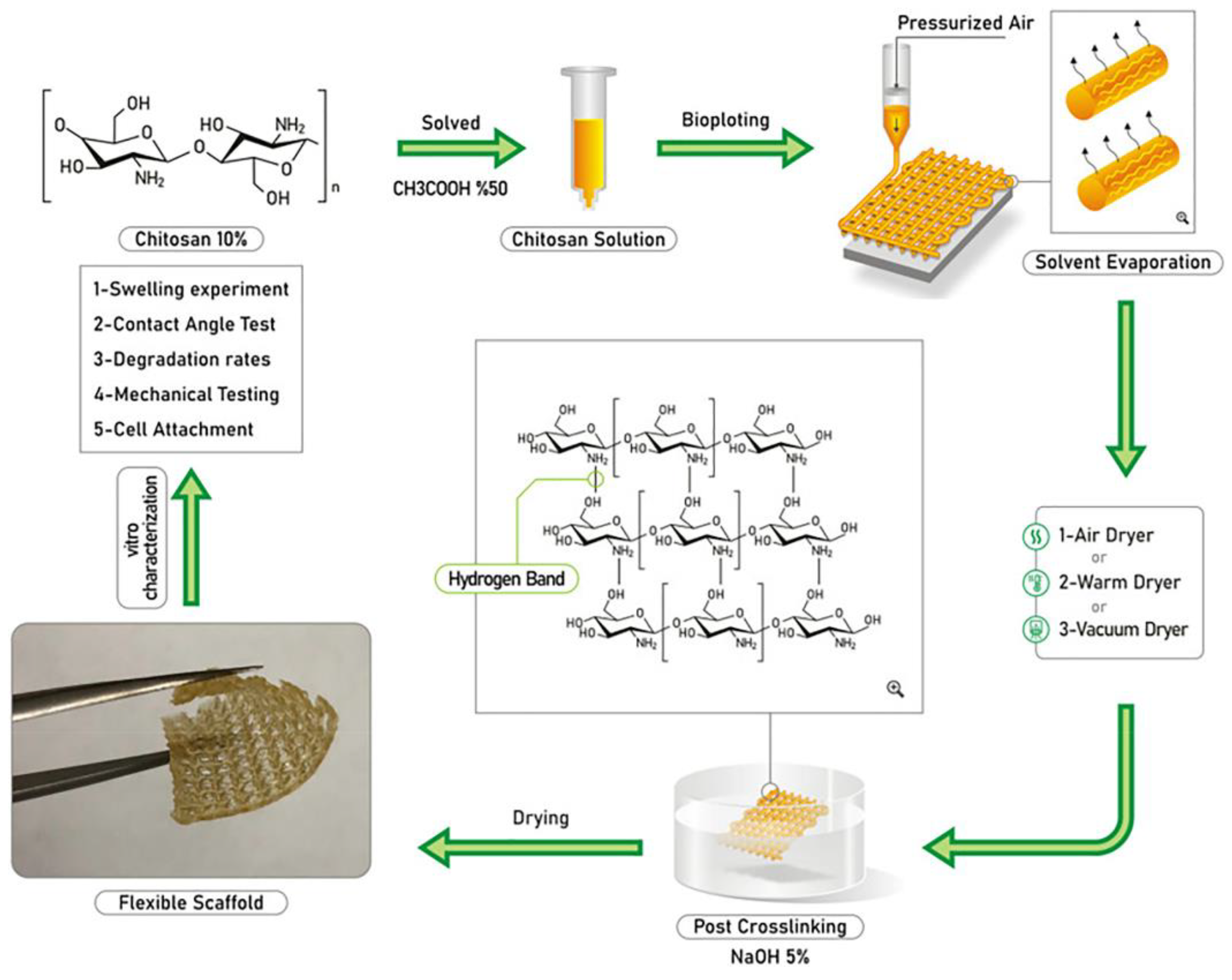 Pharmaceutics 14 01978 g013