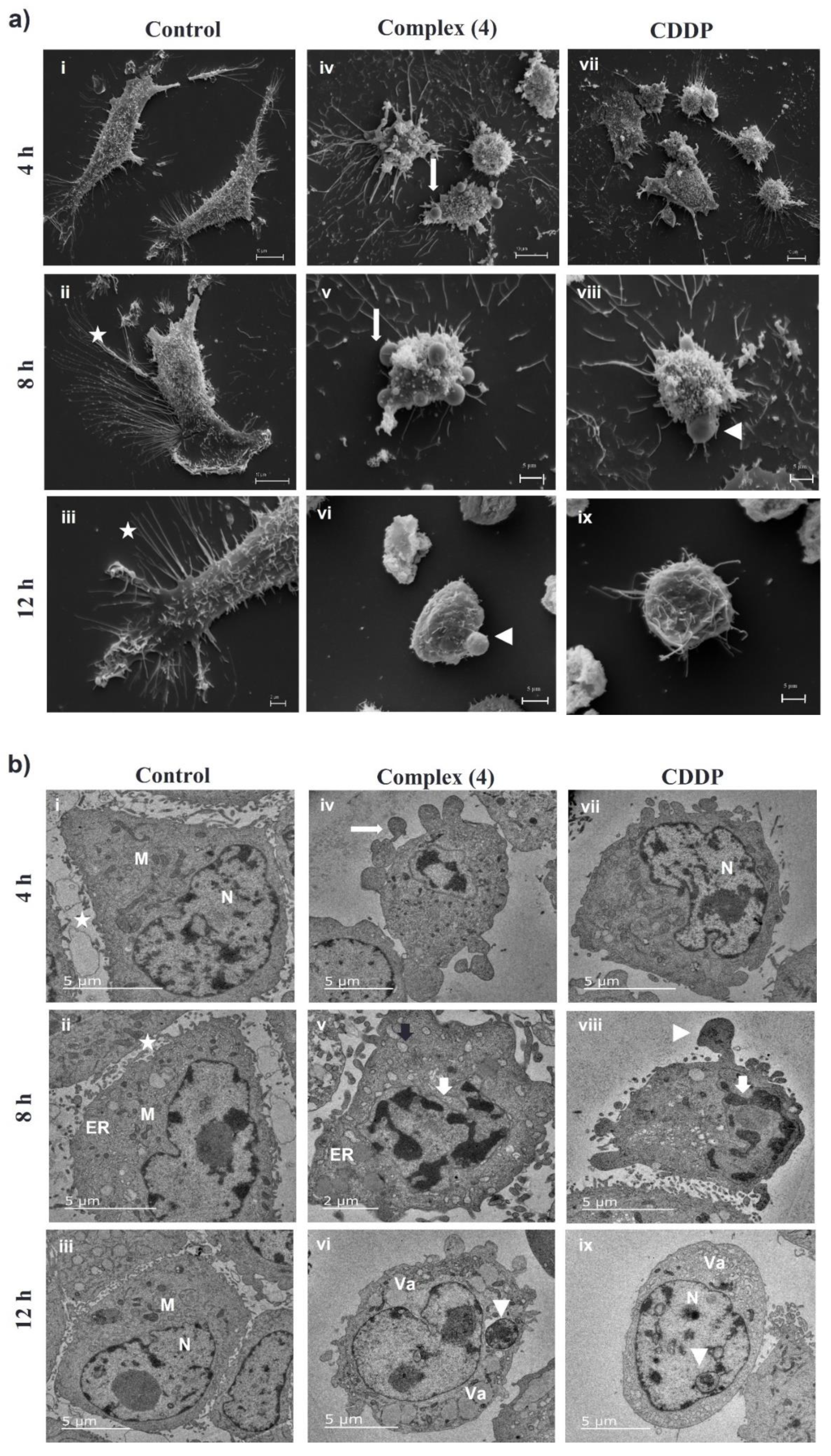 Pharmaceutics 14 02013 g006 Pharmaceutics 14 02013 g006