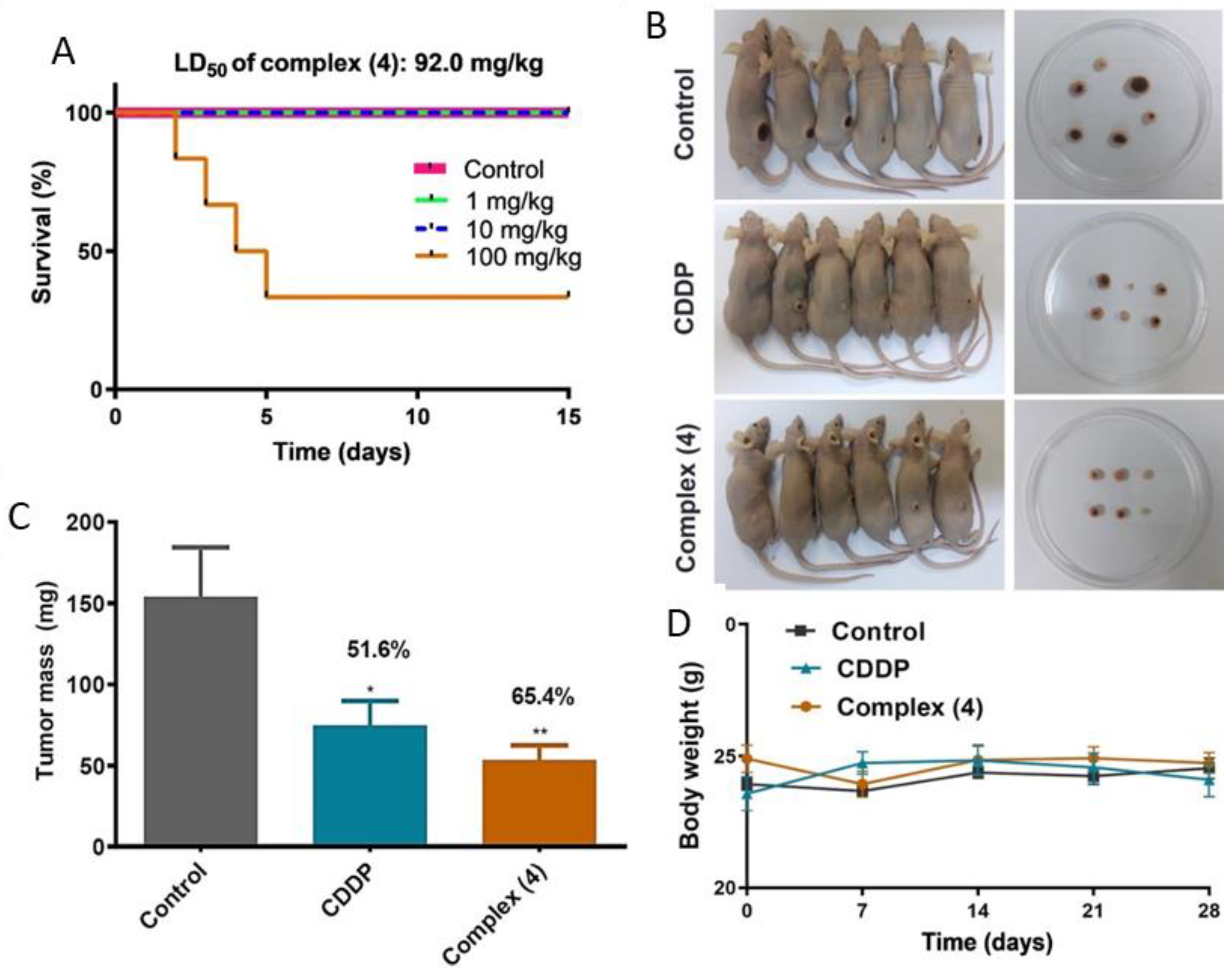 Pharmaceutics 14 02013 g007 Pharmaceutics 14 02013 g007