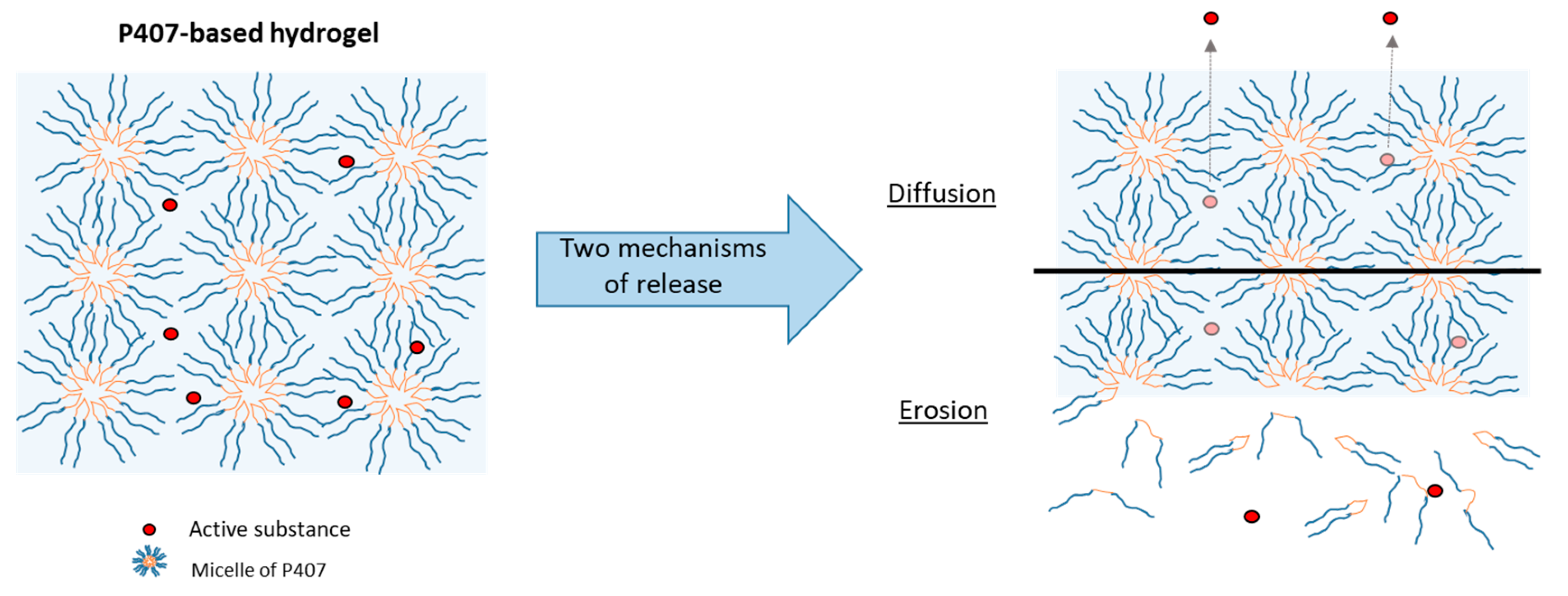 Pharmaceutics 14 02039 g007