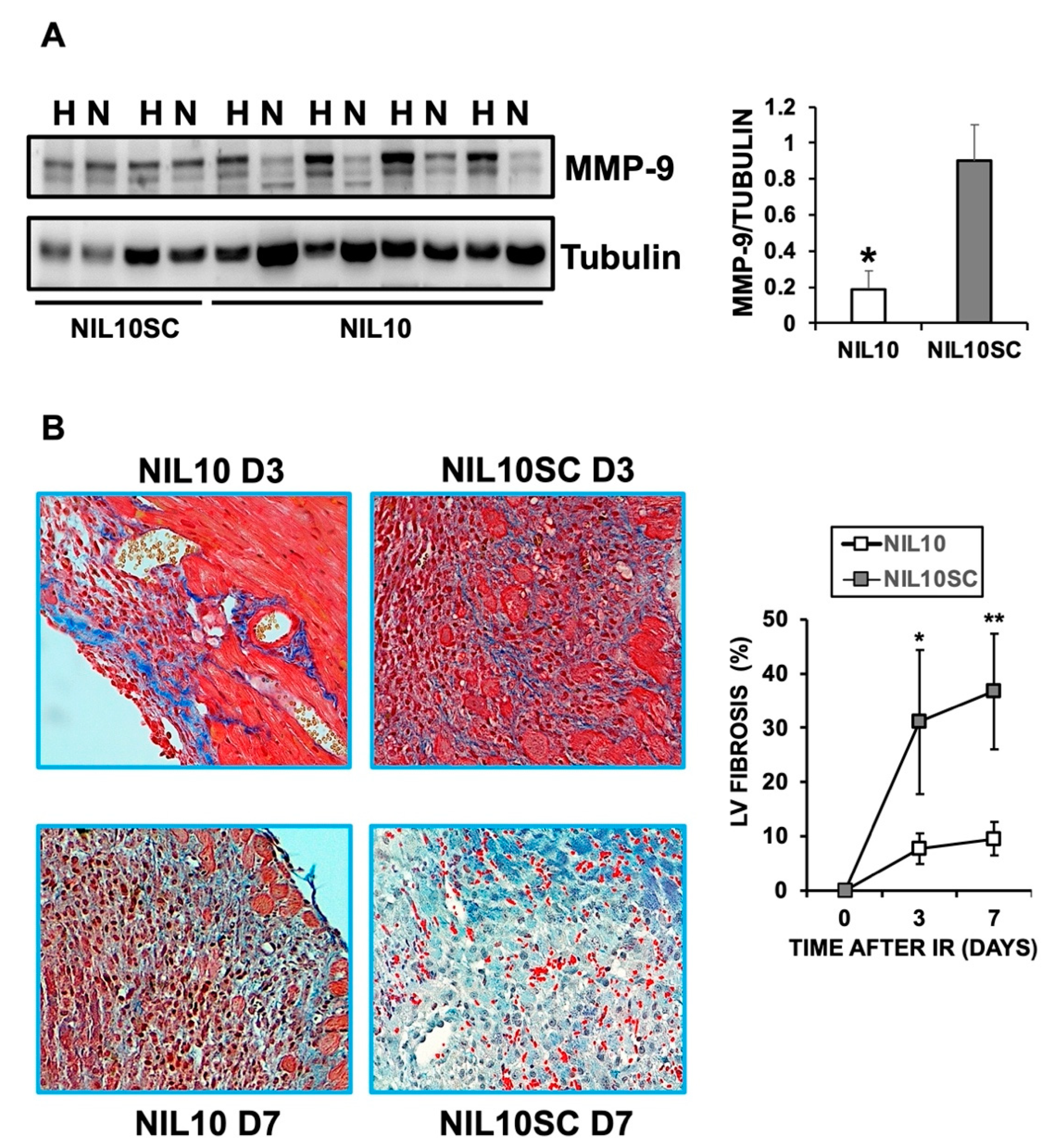 Pharmaceutics 14 02044 g005